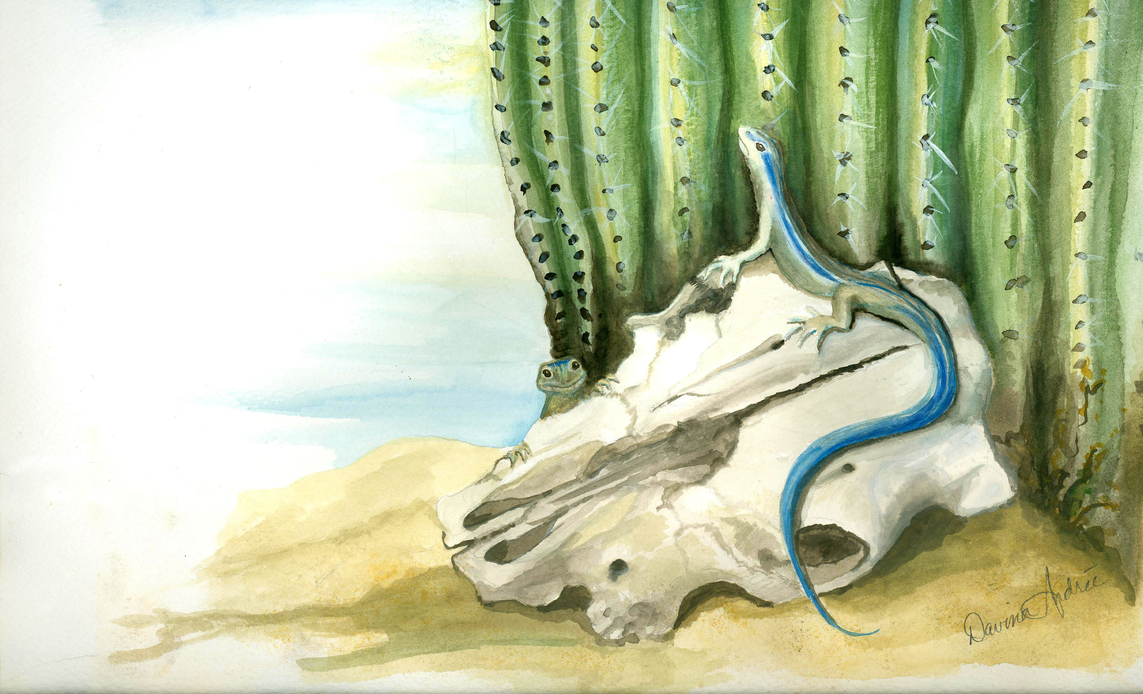 This is an illustration of one of my favorite subjects.... Lizards!
