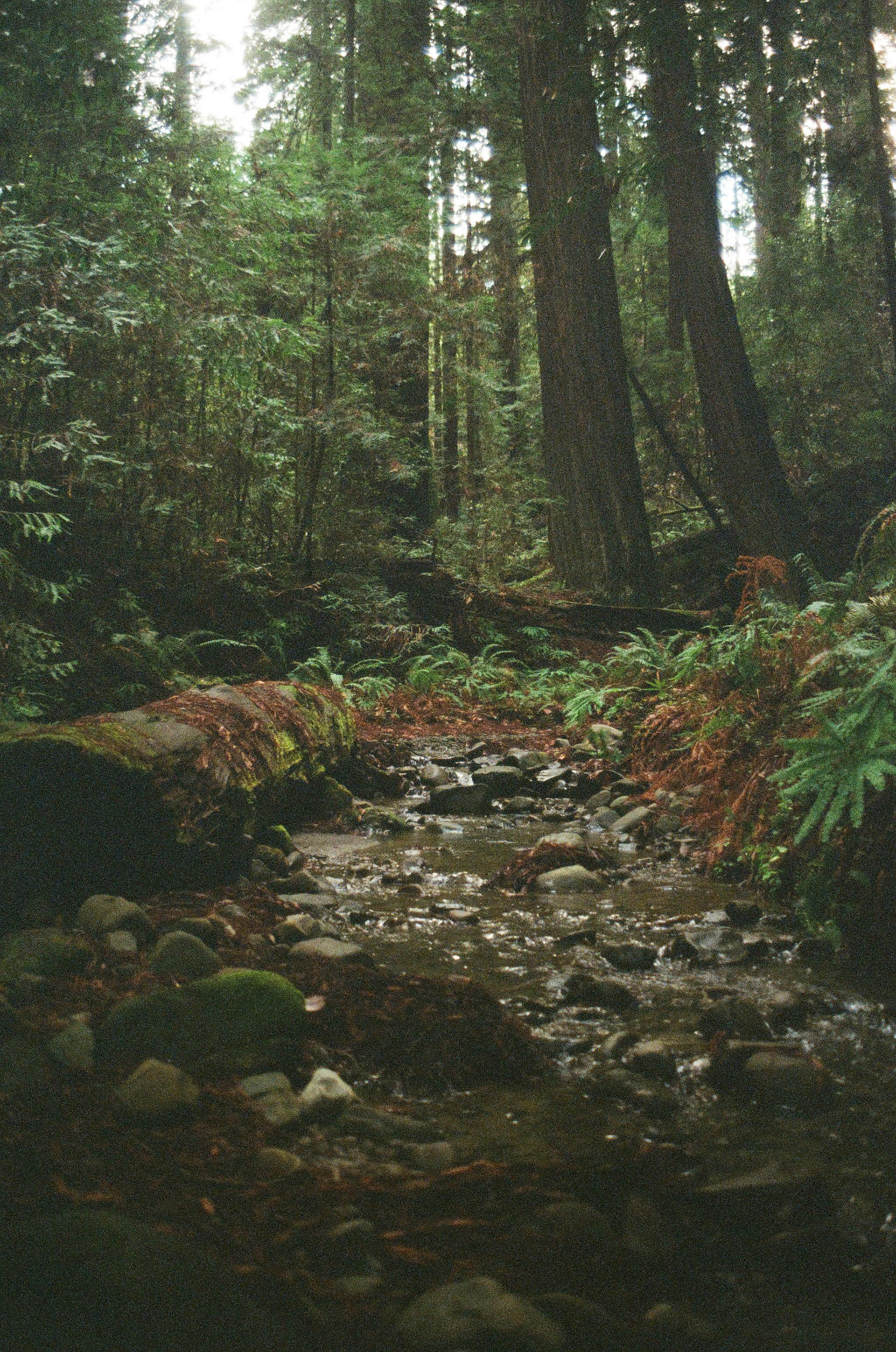 CALIFORNIA