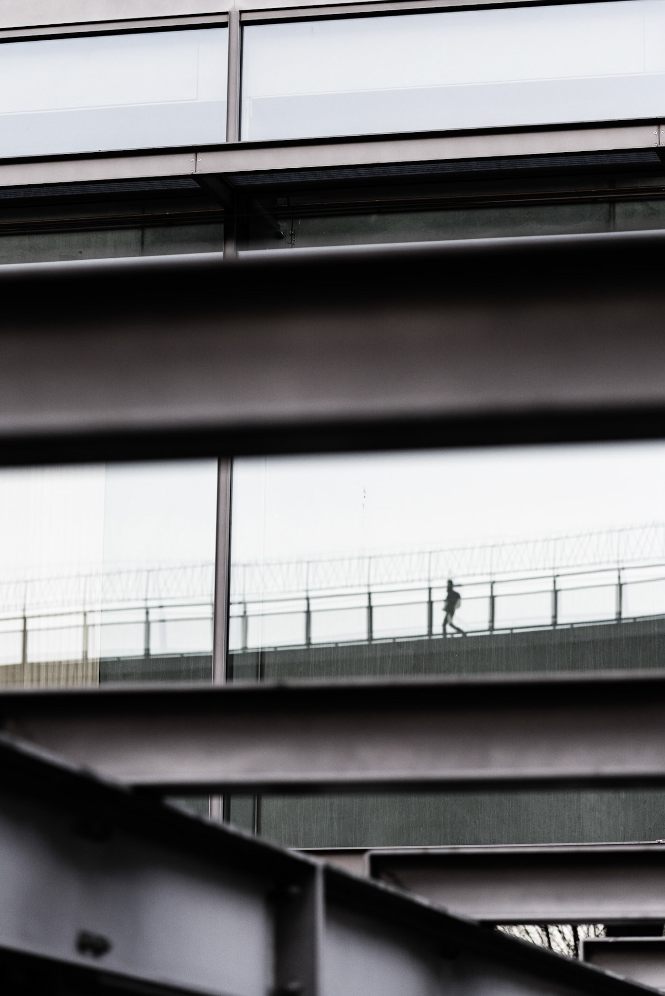 Reflections