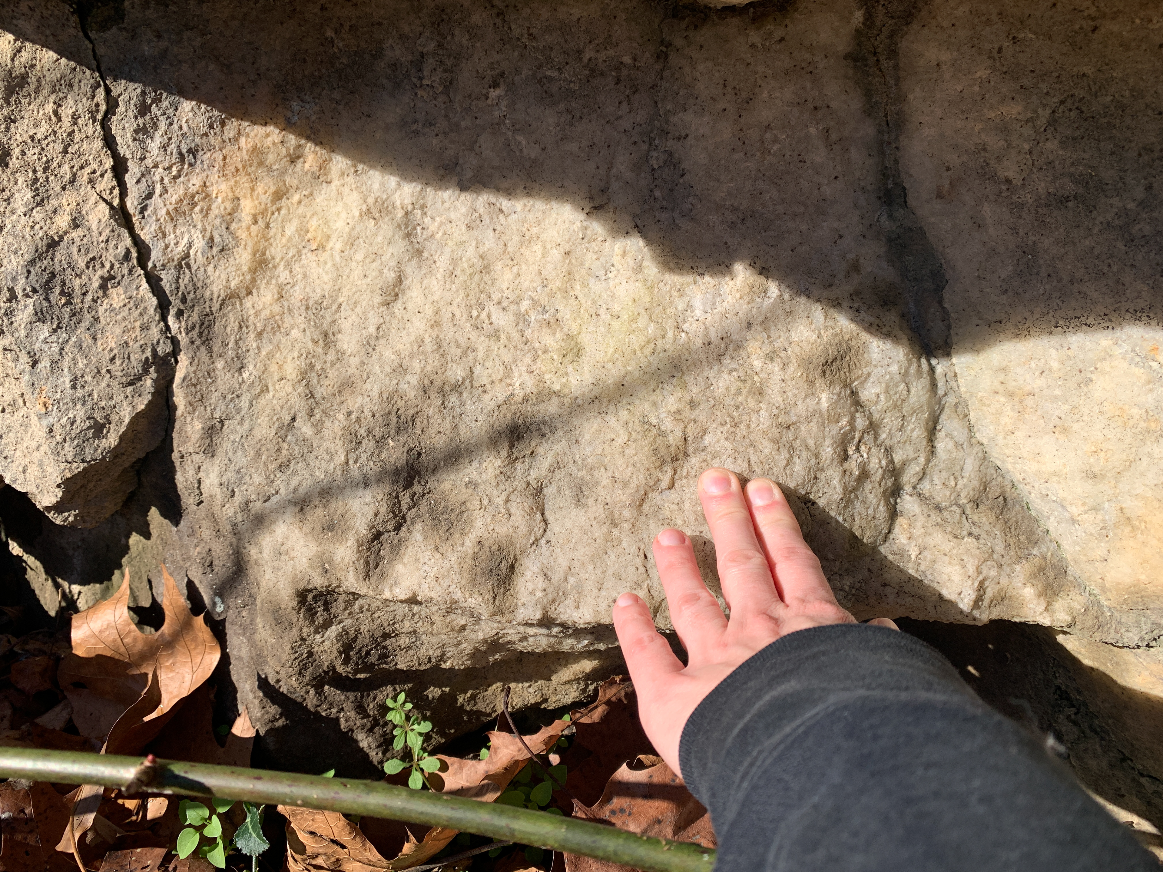 A hand reaches out to touch a light colored rock. It is homogeneous with an irregular crack on the left side. Grains are too small to be seen..