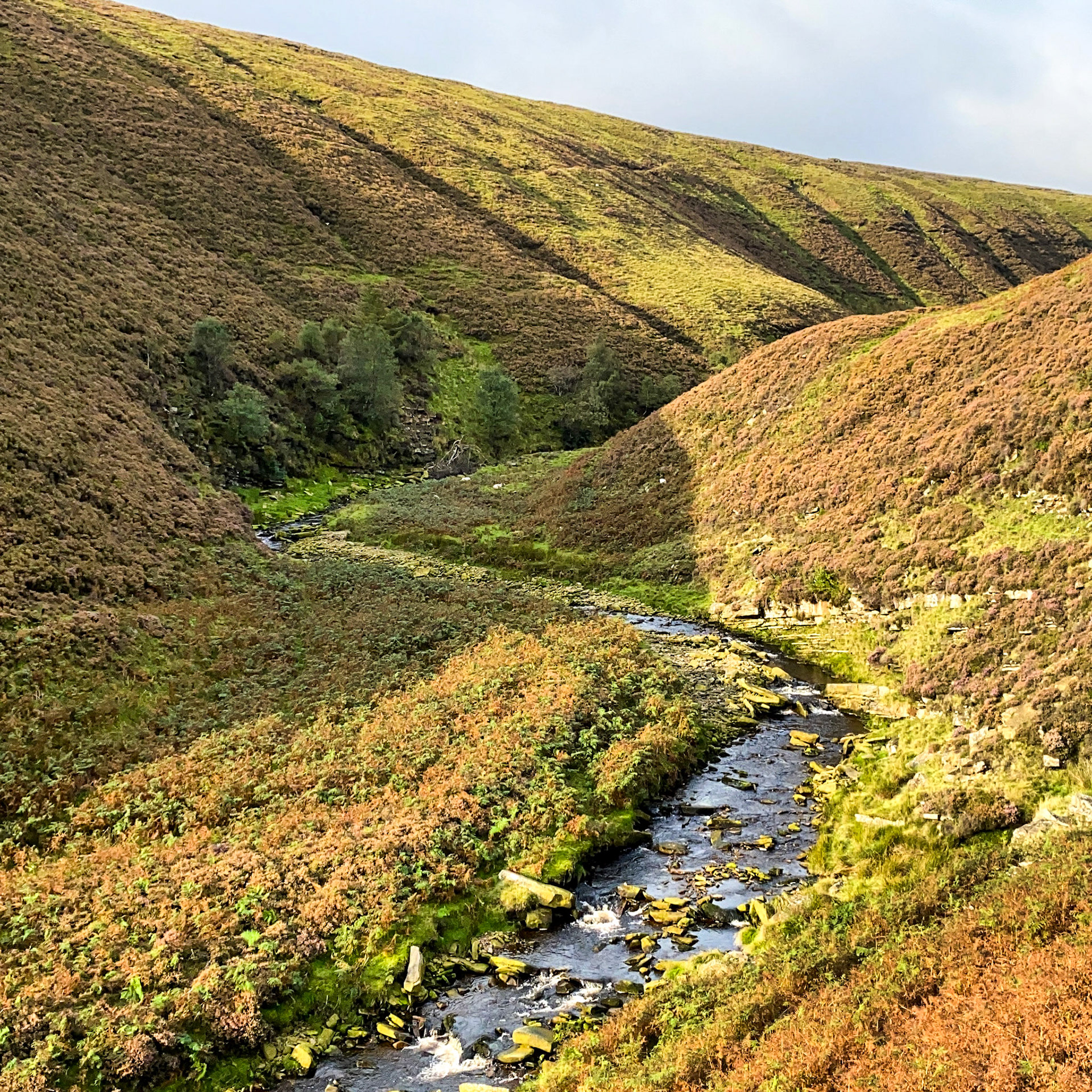 River Ashop meandering through Ashop Clough in the Peak District