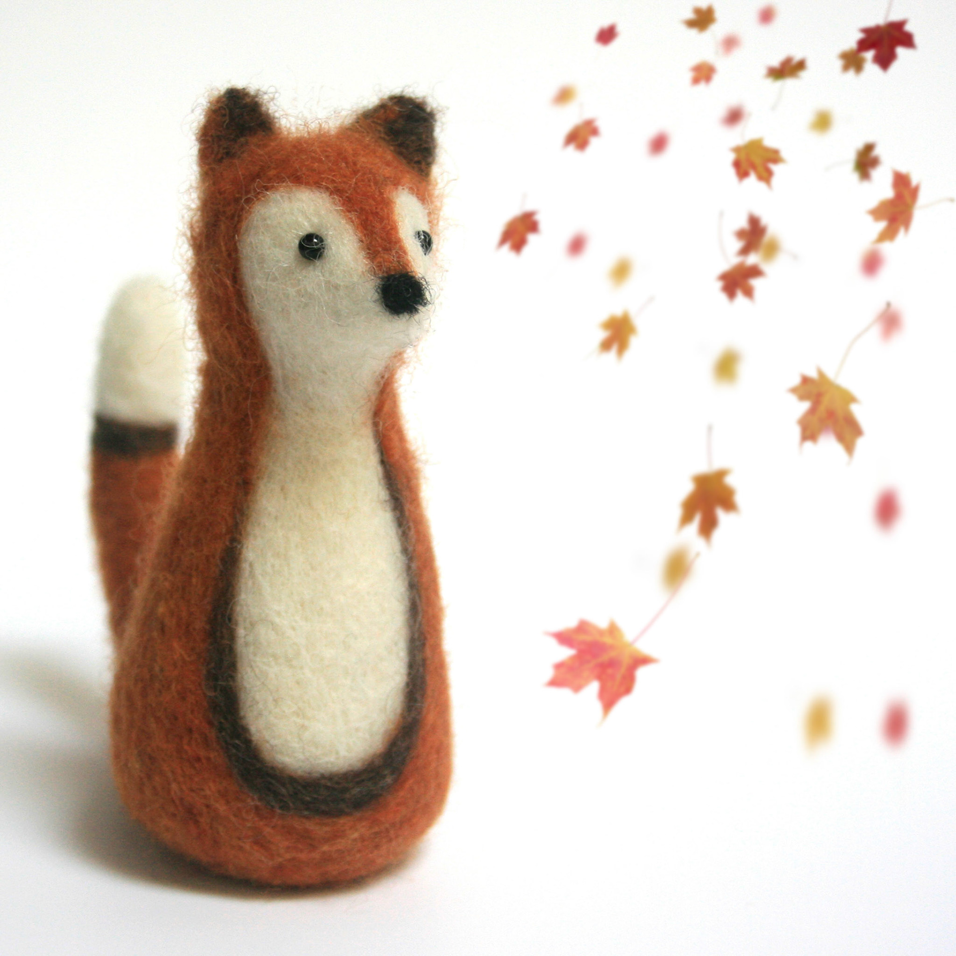 Little Fox