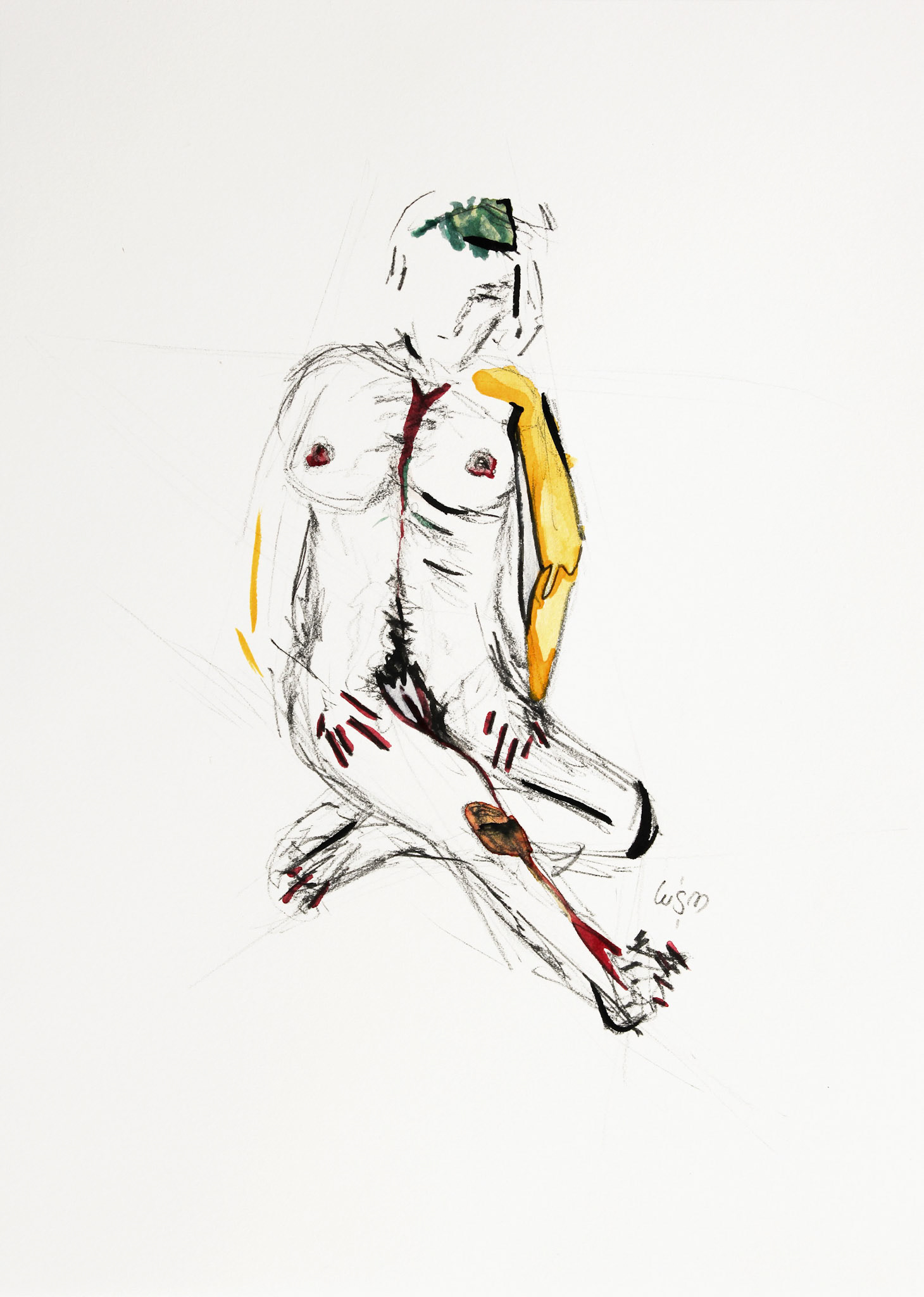 Study 29