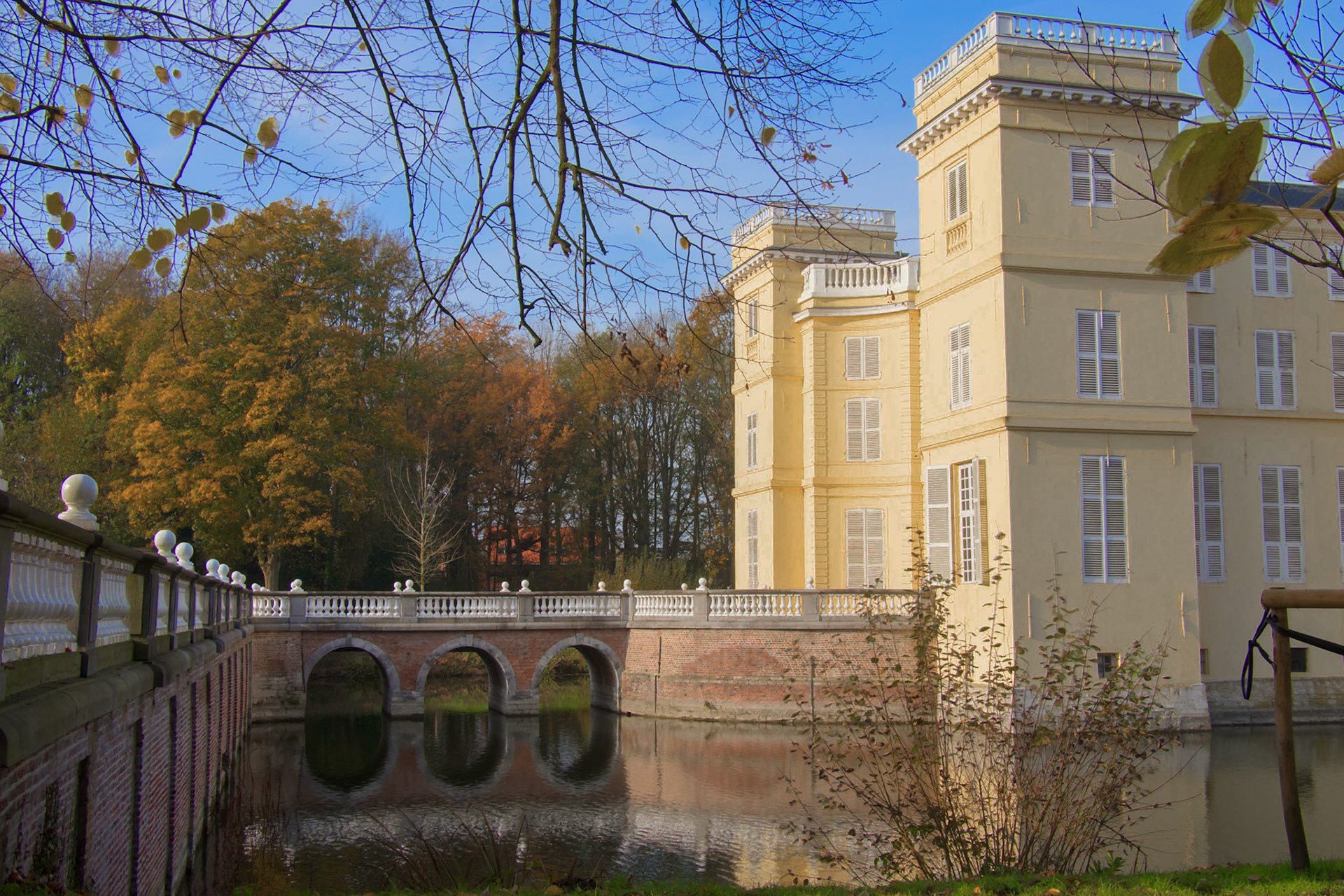 The Castle in the Park