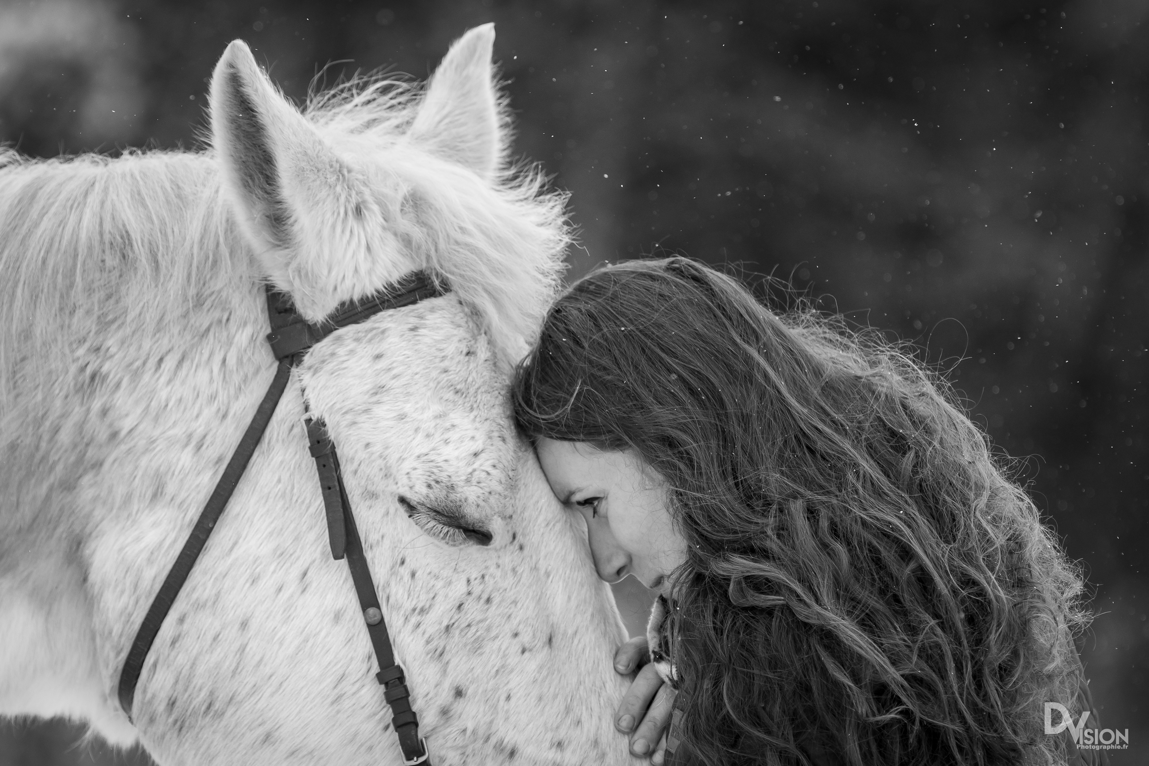 Coralie " Instant calin"
