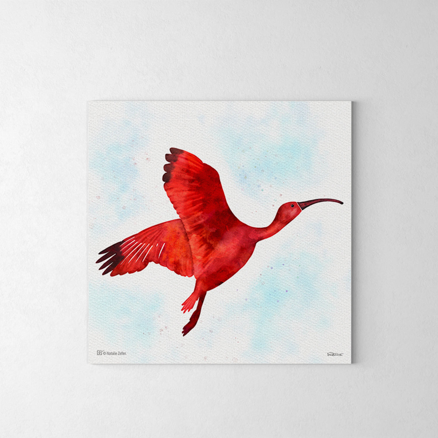 Watercolour ibis