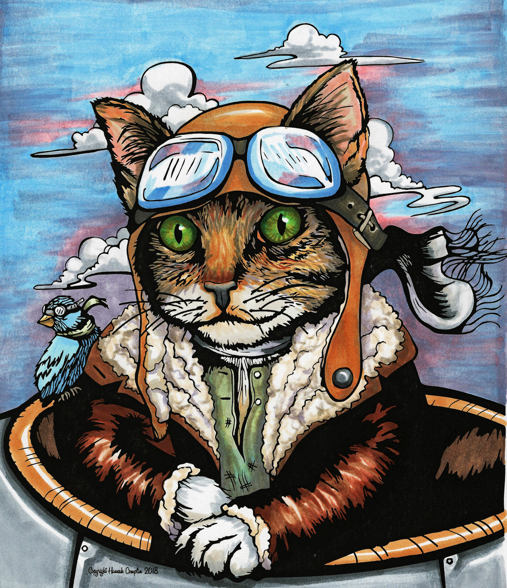 Amelia Aircat