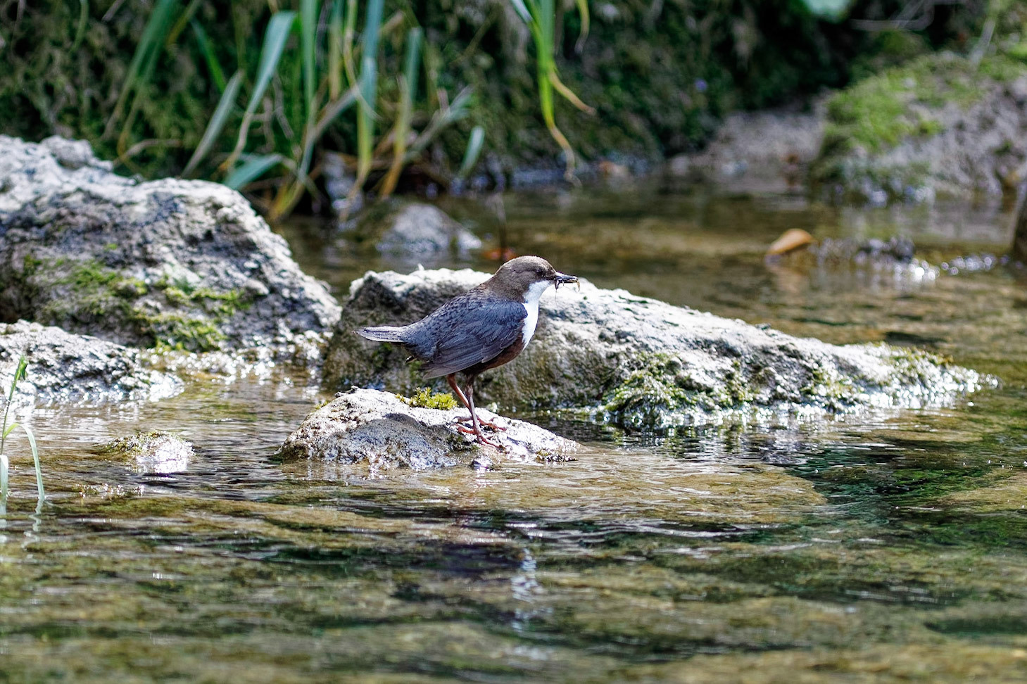 La pêche a été bonne.