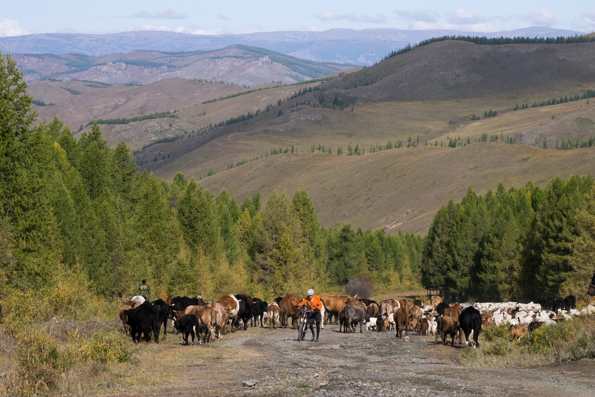 Mongolia, photos from a bicycle tour with Compass Rose Expeditions