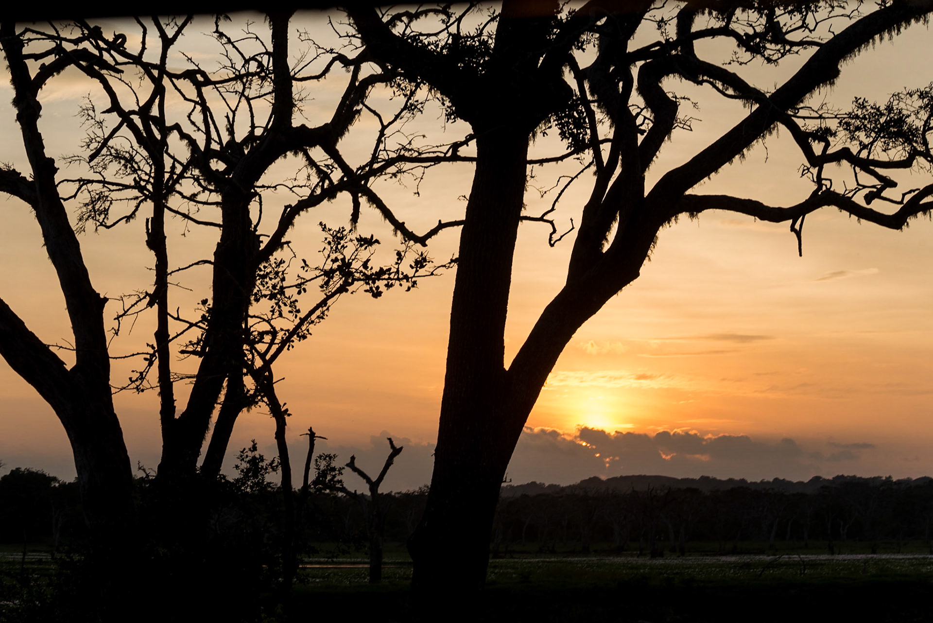 Sri Lanka, Yala National Park