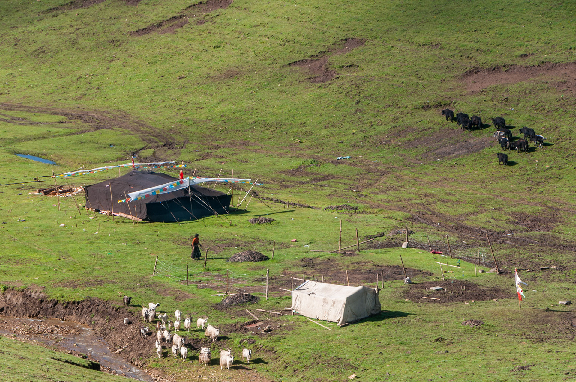 China, Eastern Tibet or Western Sichuan, also krown as Kham,