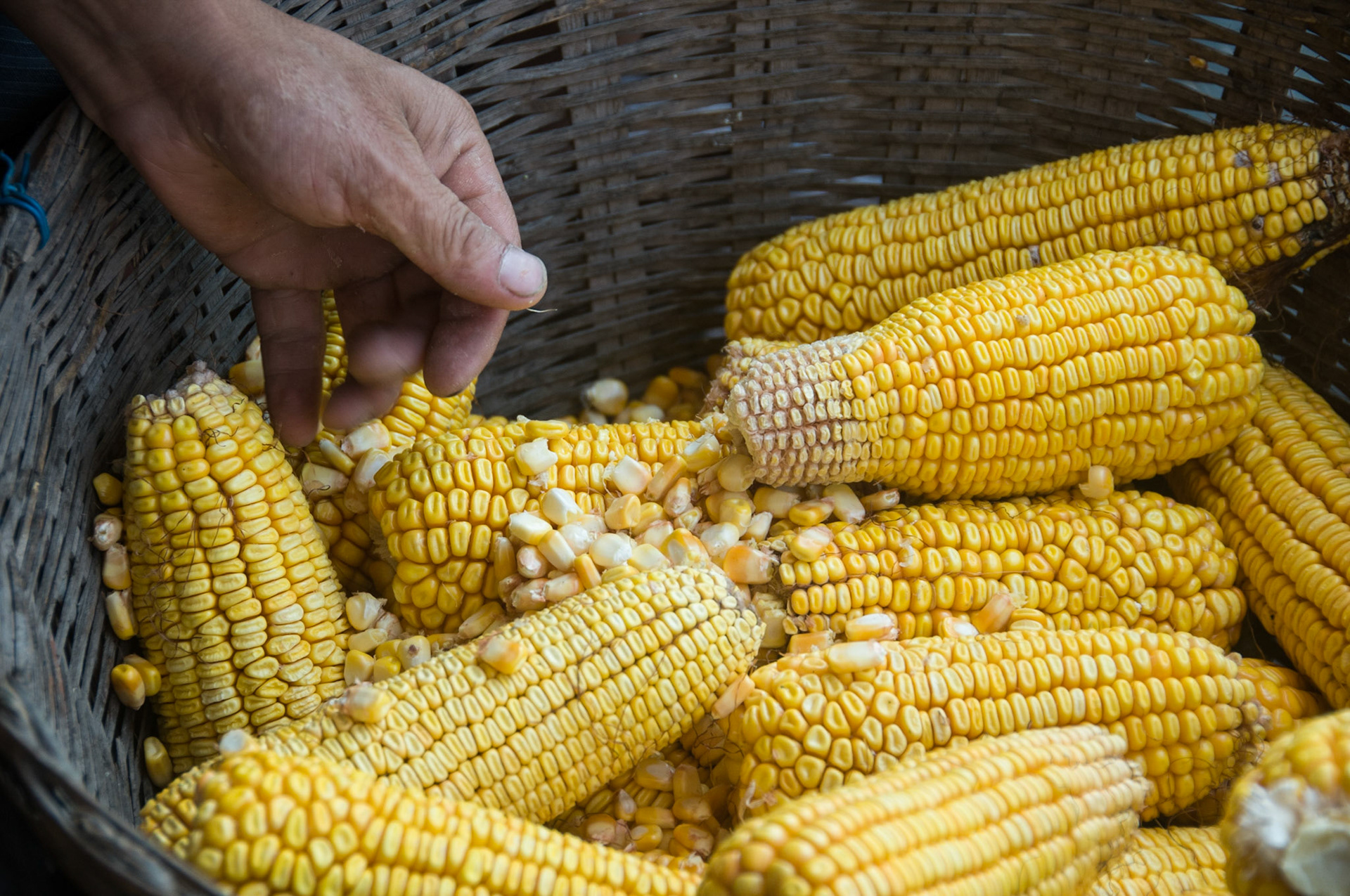 China, South Sicnuan  Province,