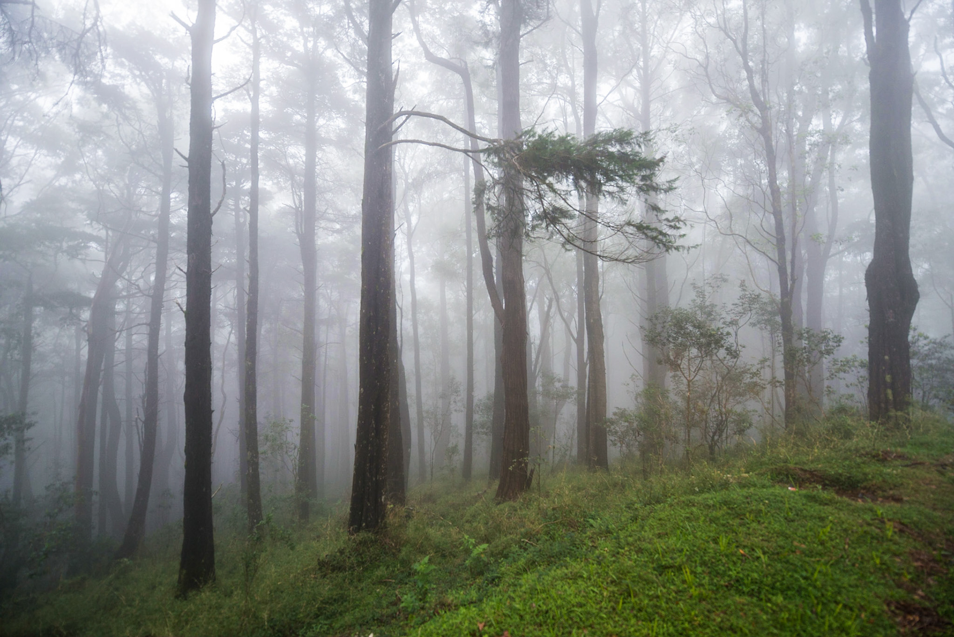 Sri Lanka, Horton Plains