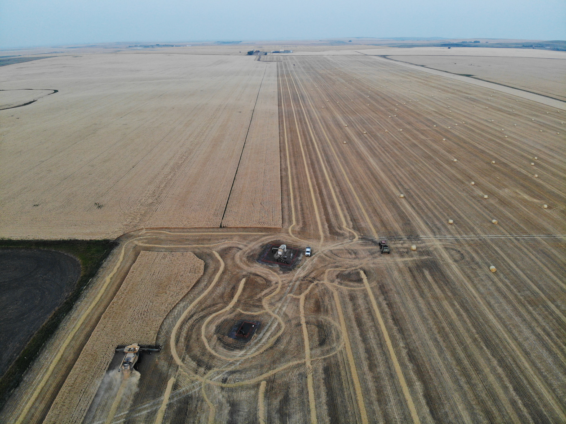 Bales and Barley Fields