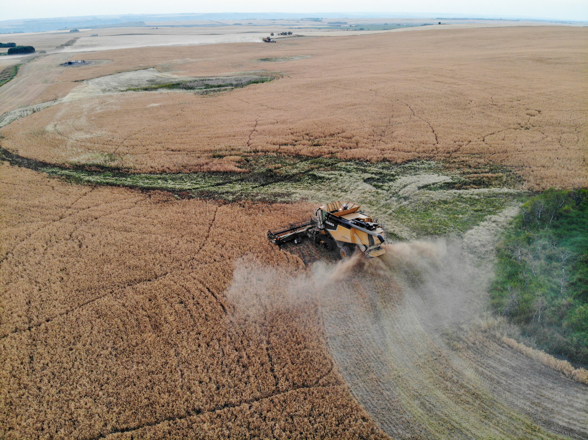 Rolling in Rumsey x2