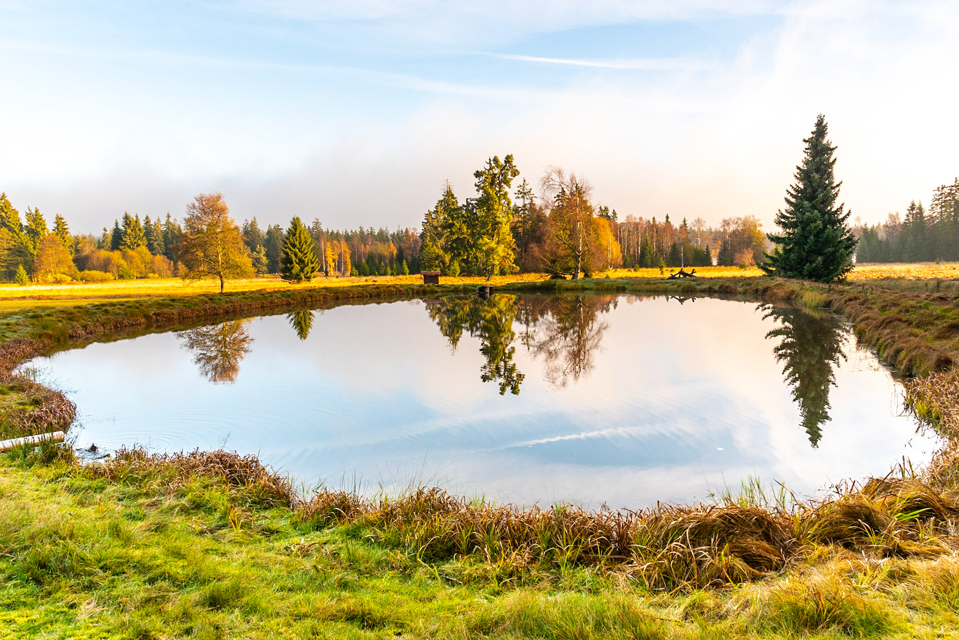 Mountain pond, Kladská