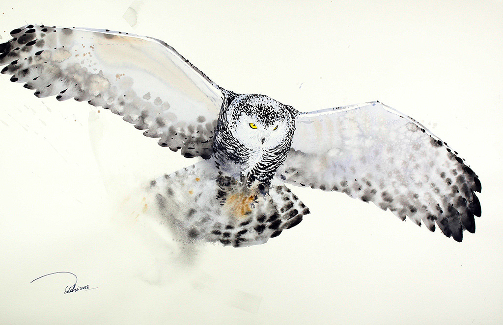 MS 79 - 100x70 cm - Såld