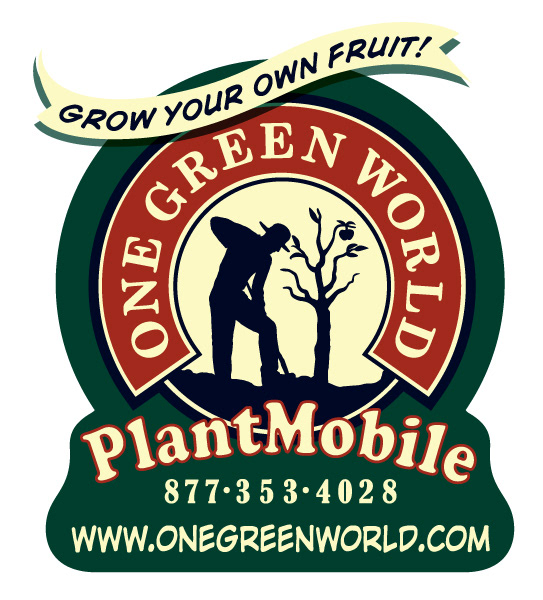 Kim Seltzer One Green World