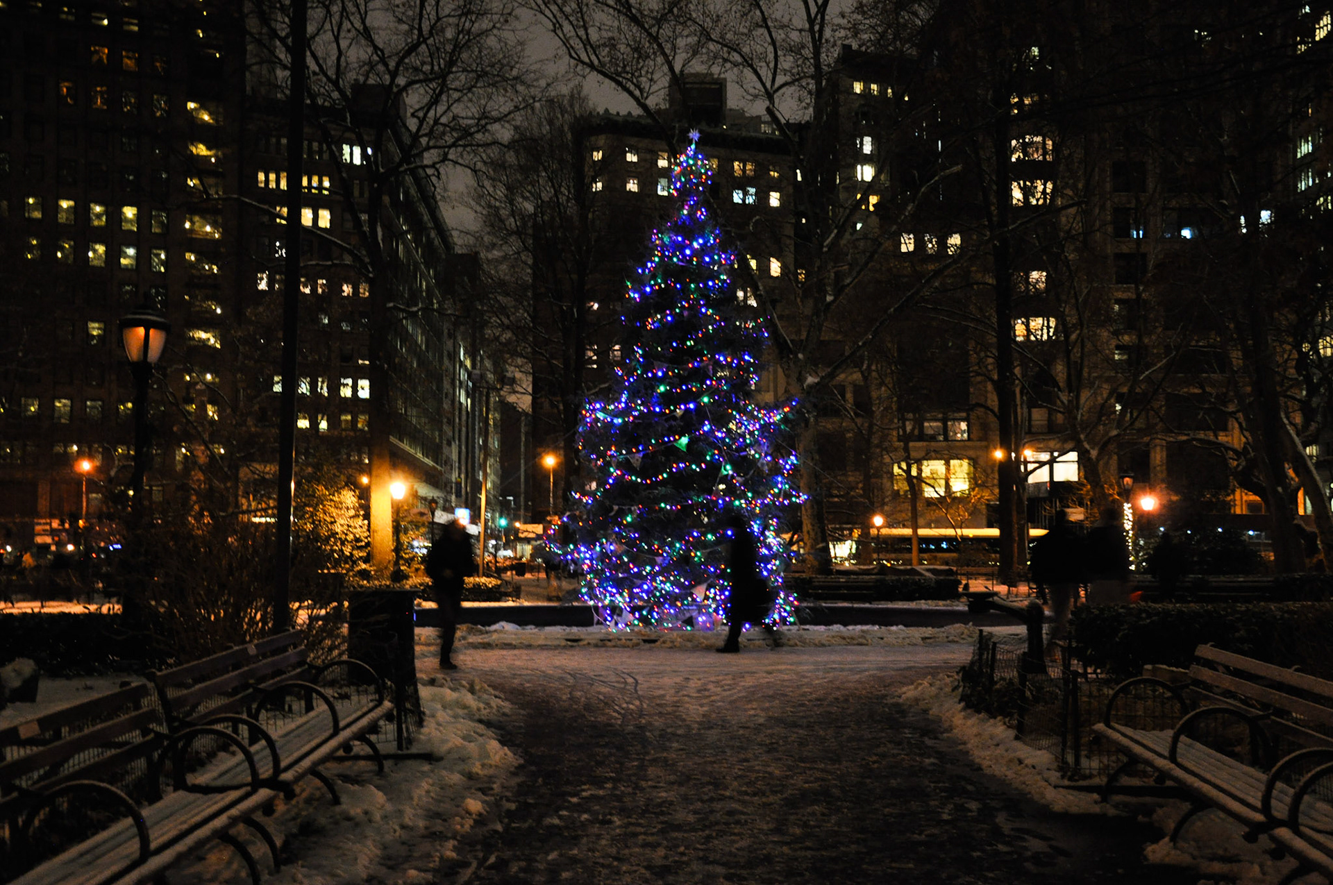 The Madison Square Park Christmas Tree on a snowy December night.  The frozen slush on the ground makes for a treacherous commute home.

12/2013