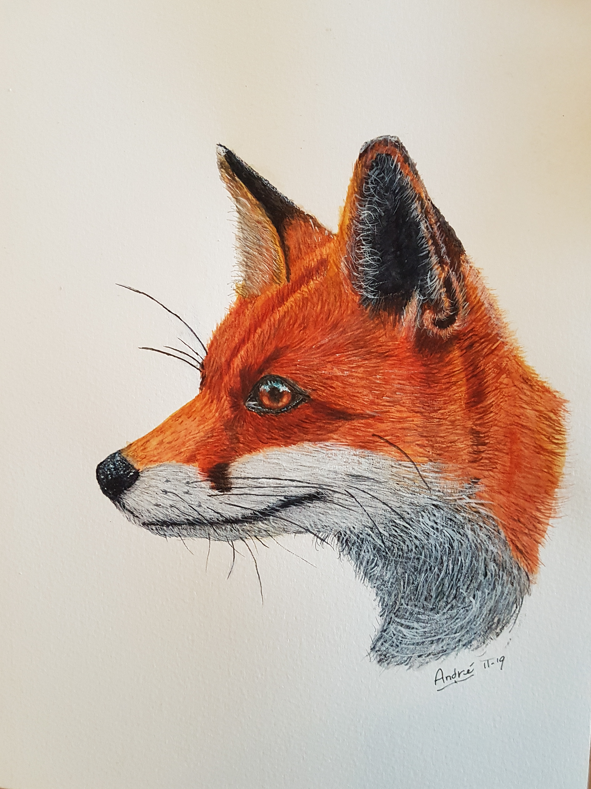 Fox A4 (Tutorial by @thedevonartist)