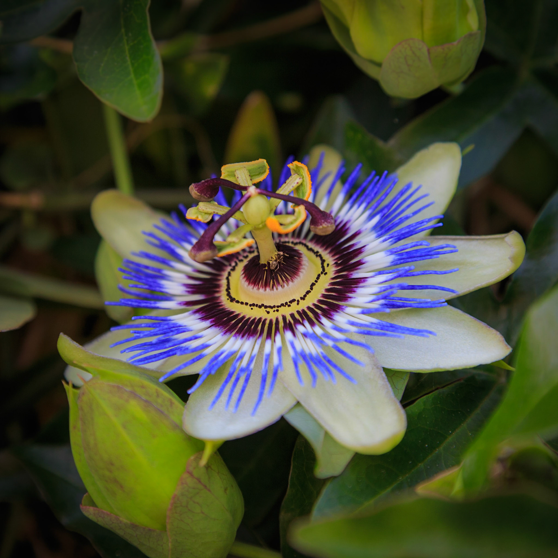 Toby Malek Photography