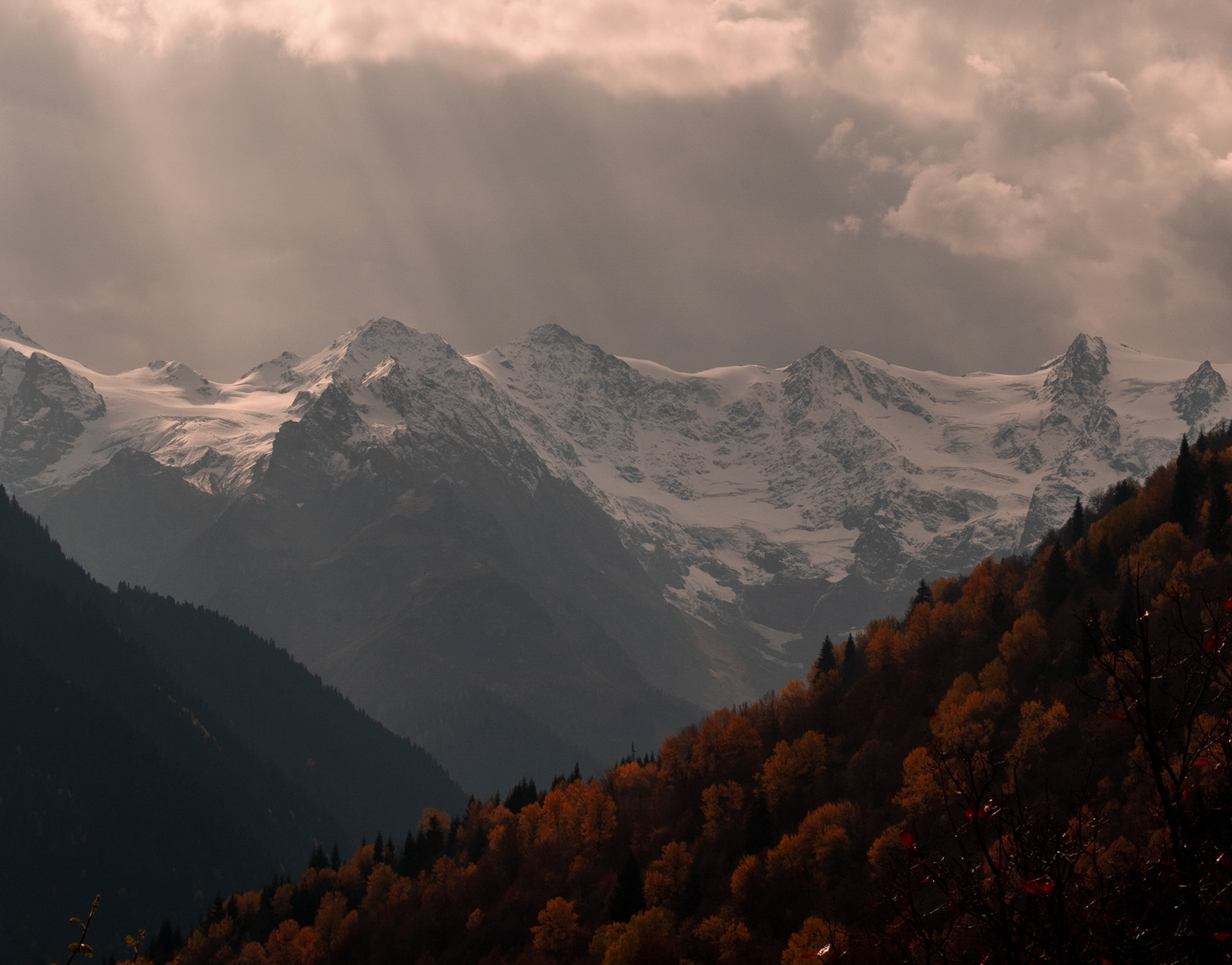 David Miller Studios