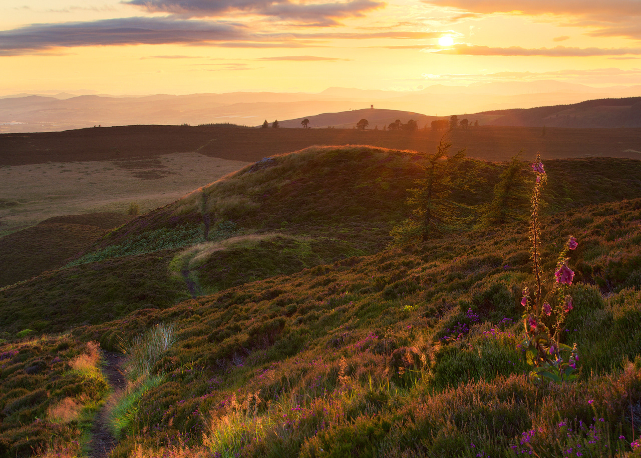 Looking towards Kinpurney Hill, from Auchterhouse Hill