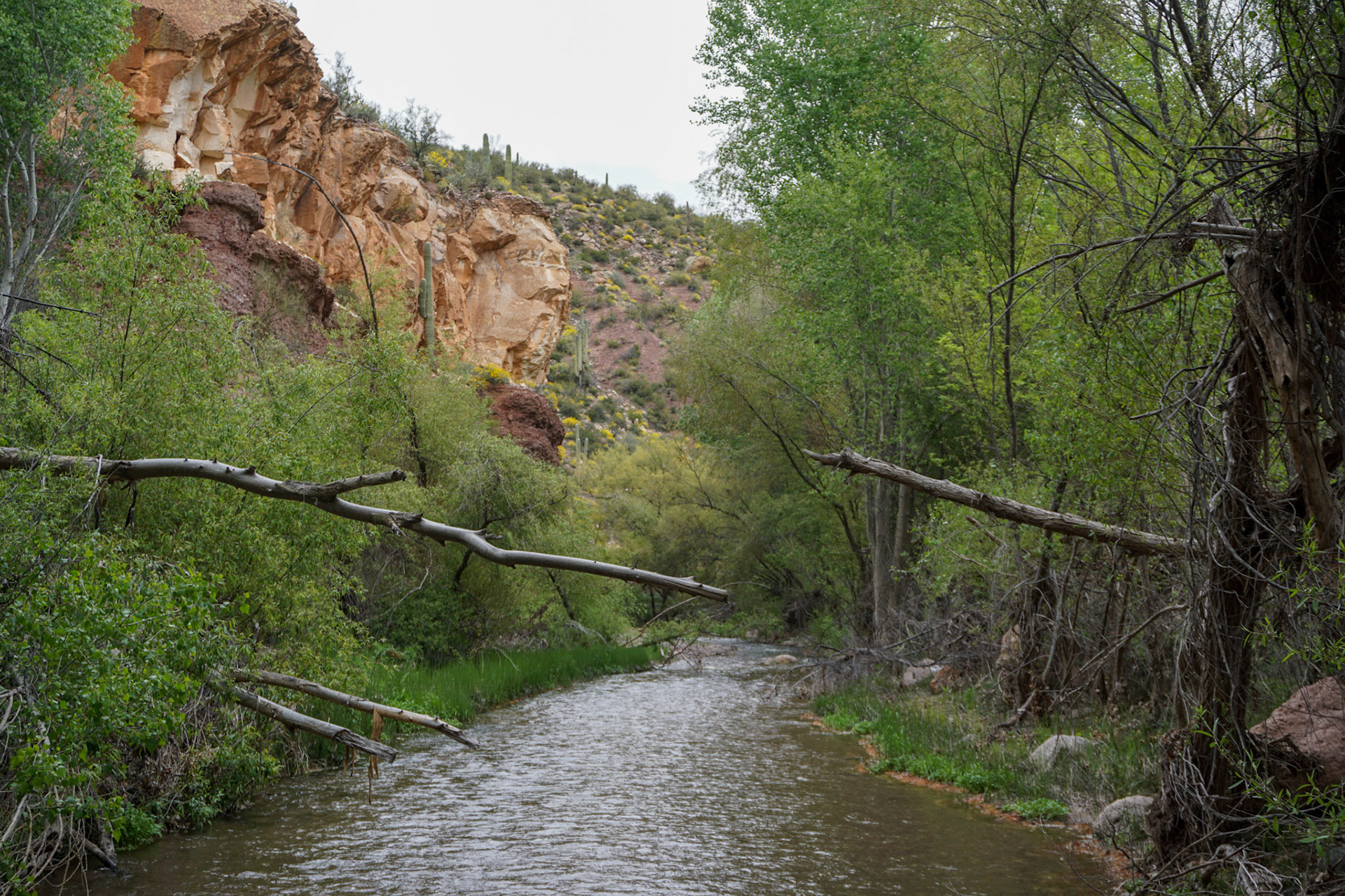 Jim Stone - Aravaipa Canyon Wilderness