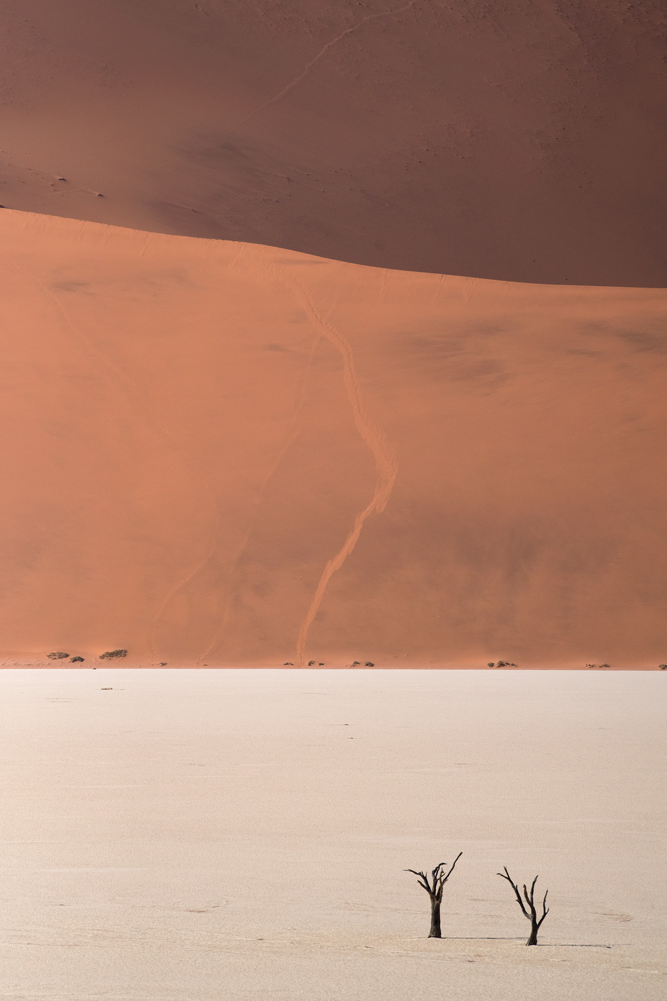 Namib Deadvlei