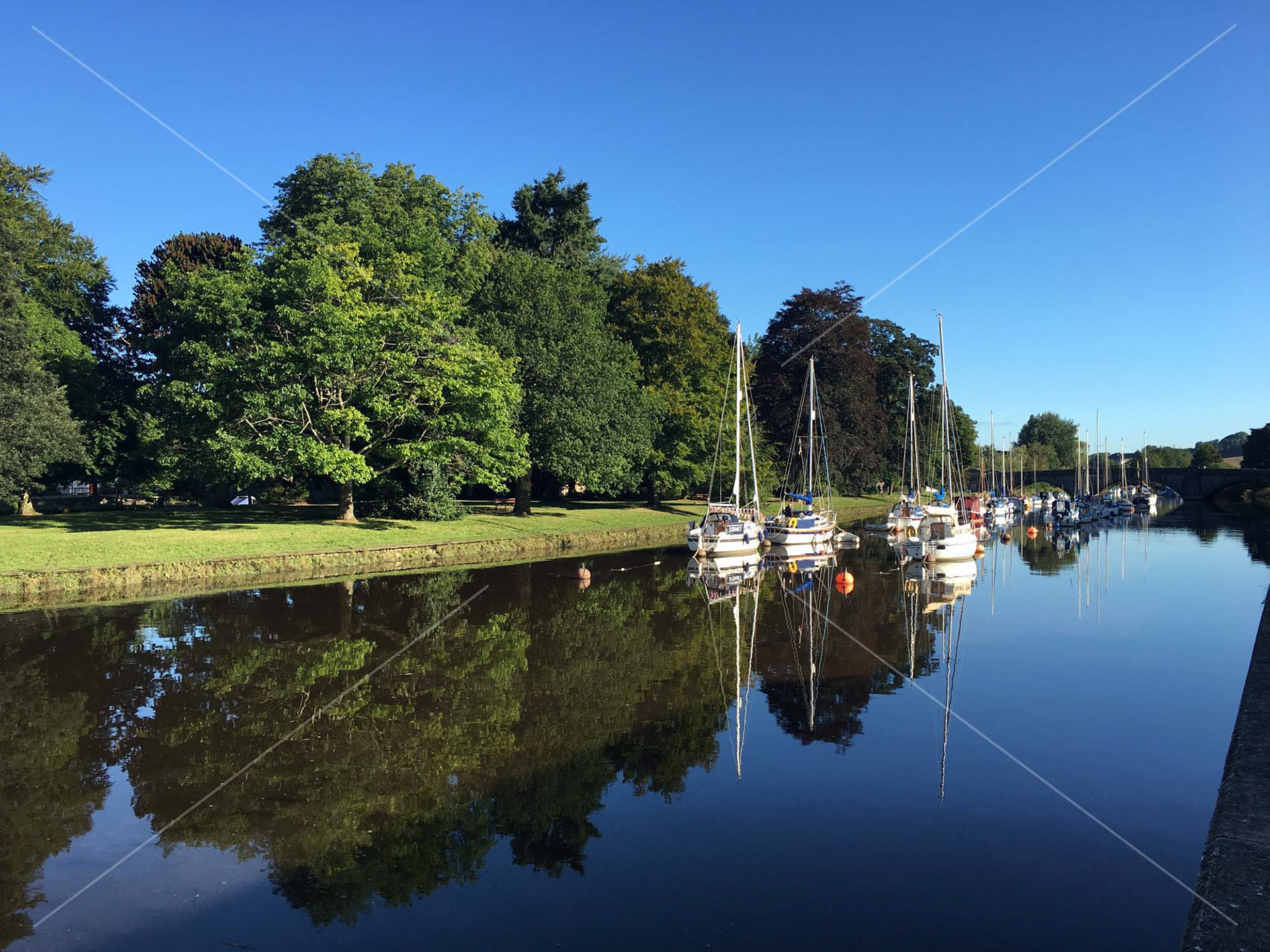 River Dart in Totnes