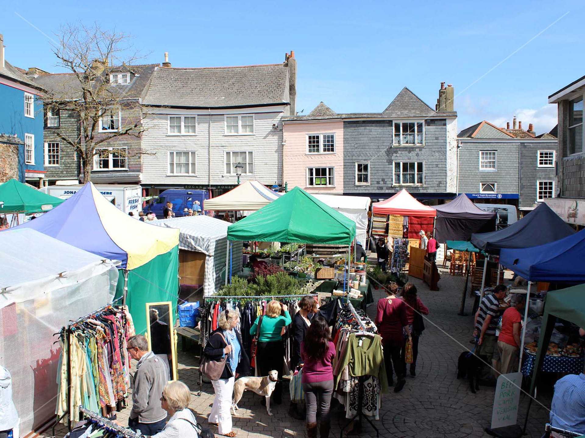 Totnes Market