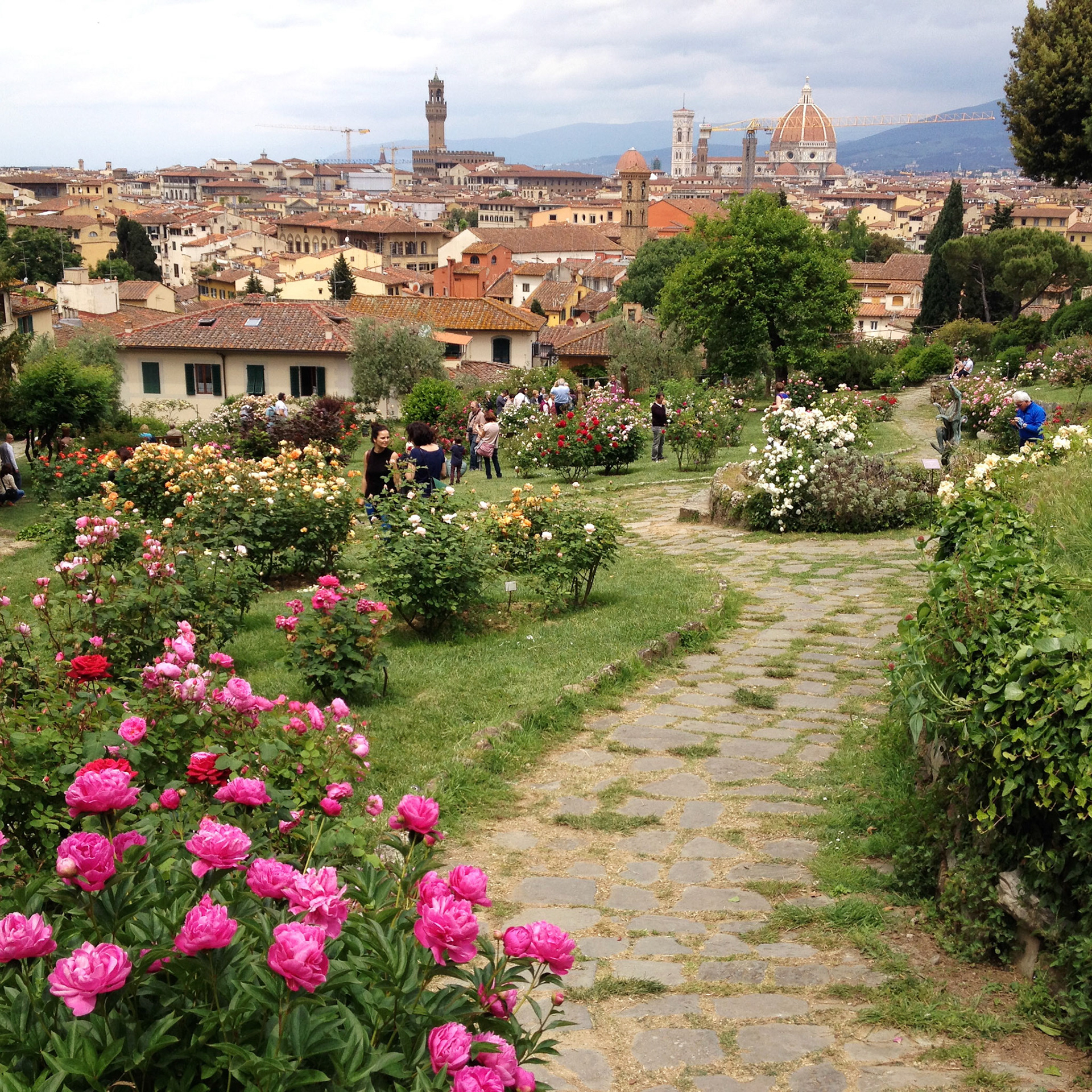 Giardino delle Rose (Firenze, Italy)