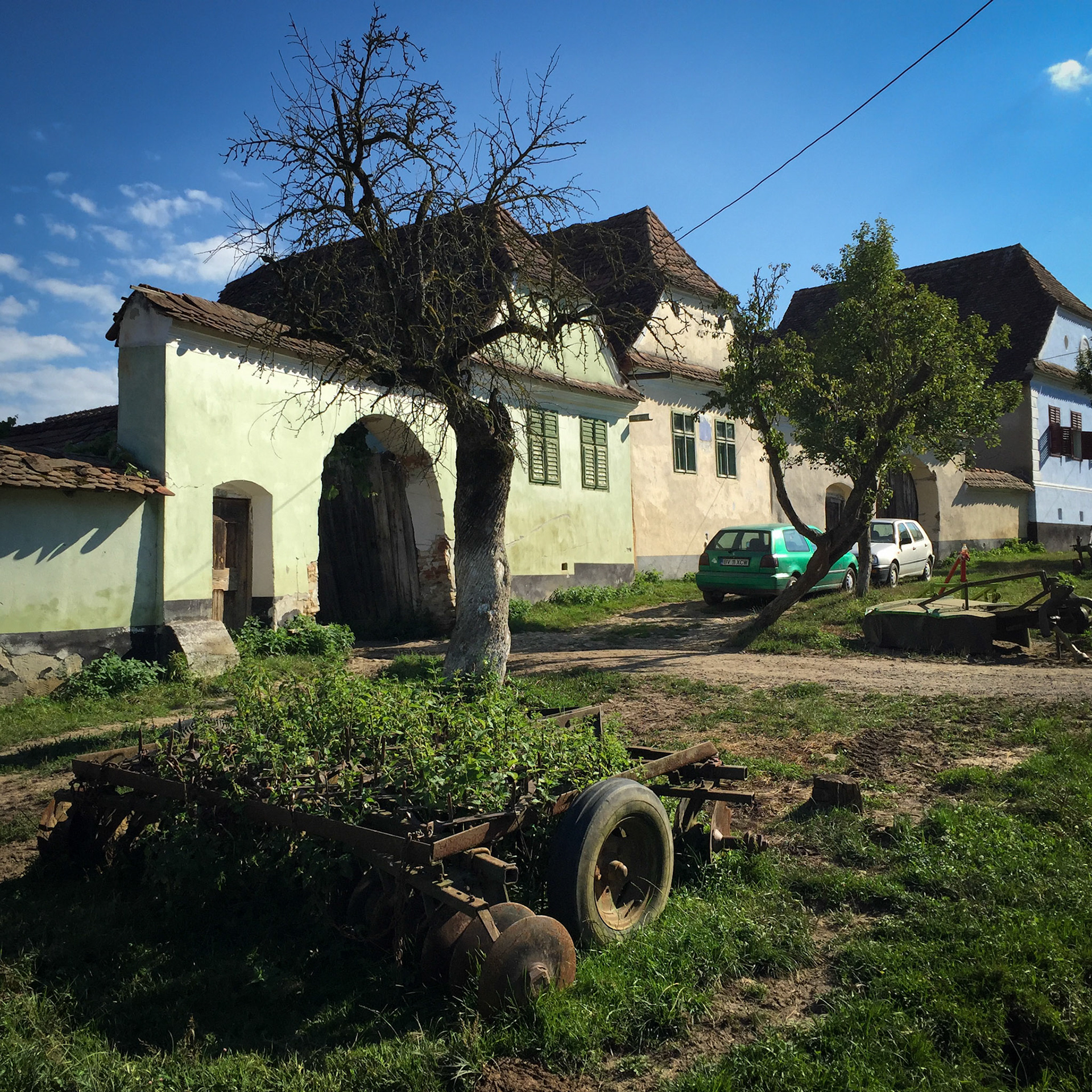 Main road with its old saxon houses (Viscri, Romania)