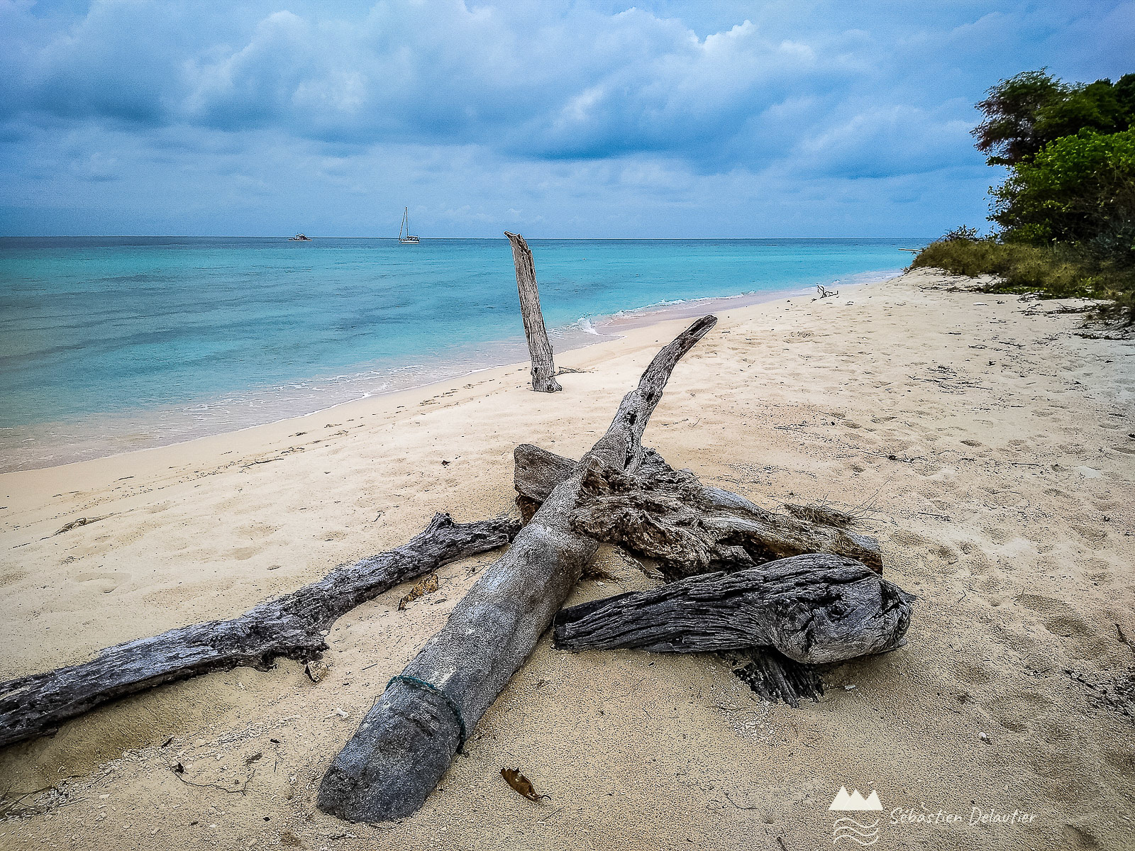 Apo Reef, Philippines