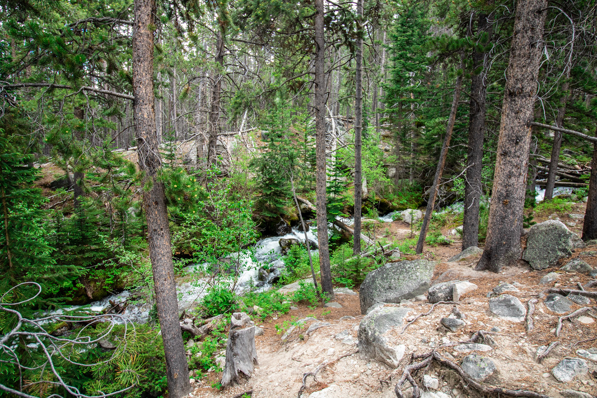 Dustin Parry Basin Lakes Trail No. 61 Red Lodge, Montana