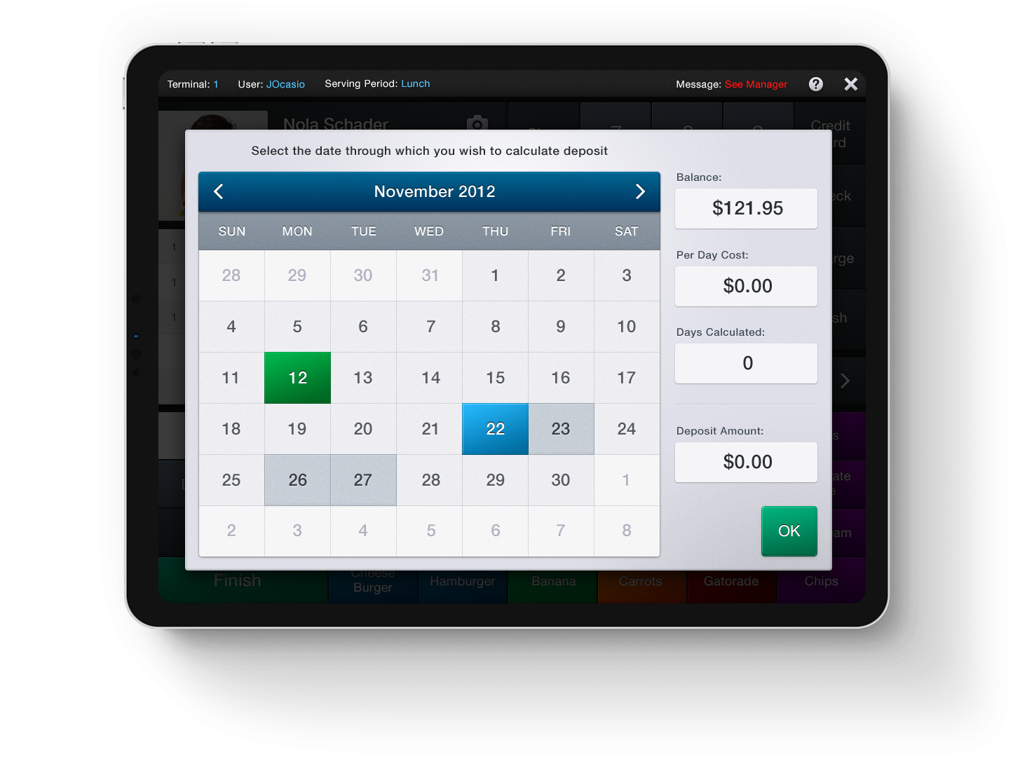 The Skins Factory, the World's Premier UX/UI Design Studio - MOSAIC POS