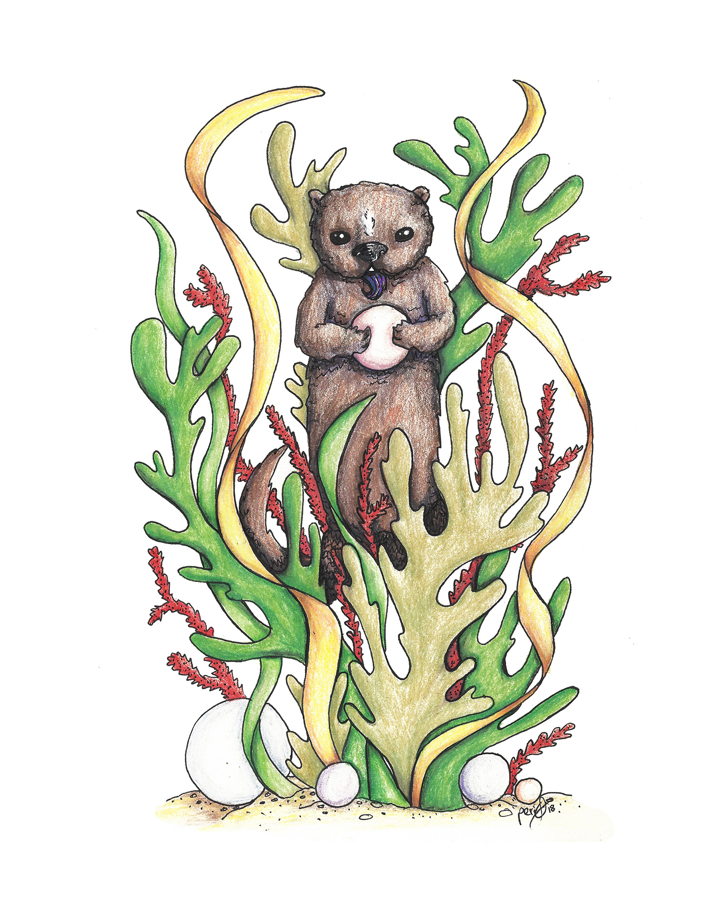 Lodian Otter - colored pencil & ink