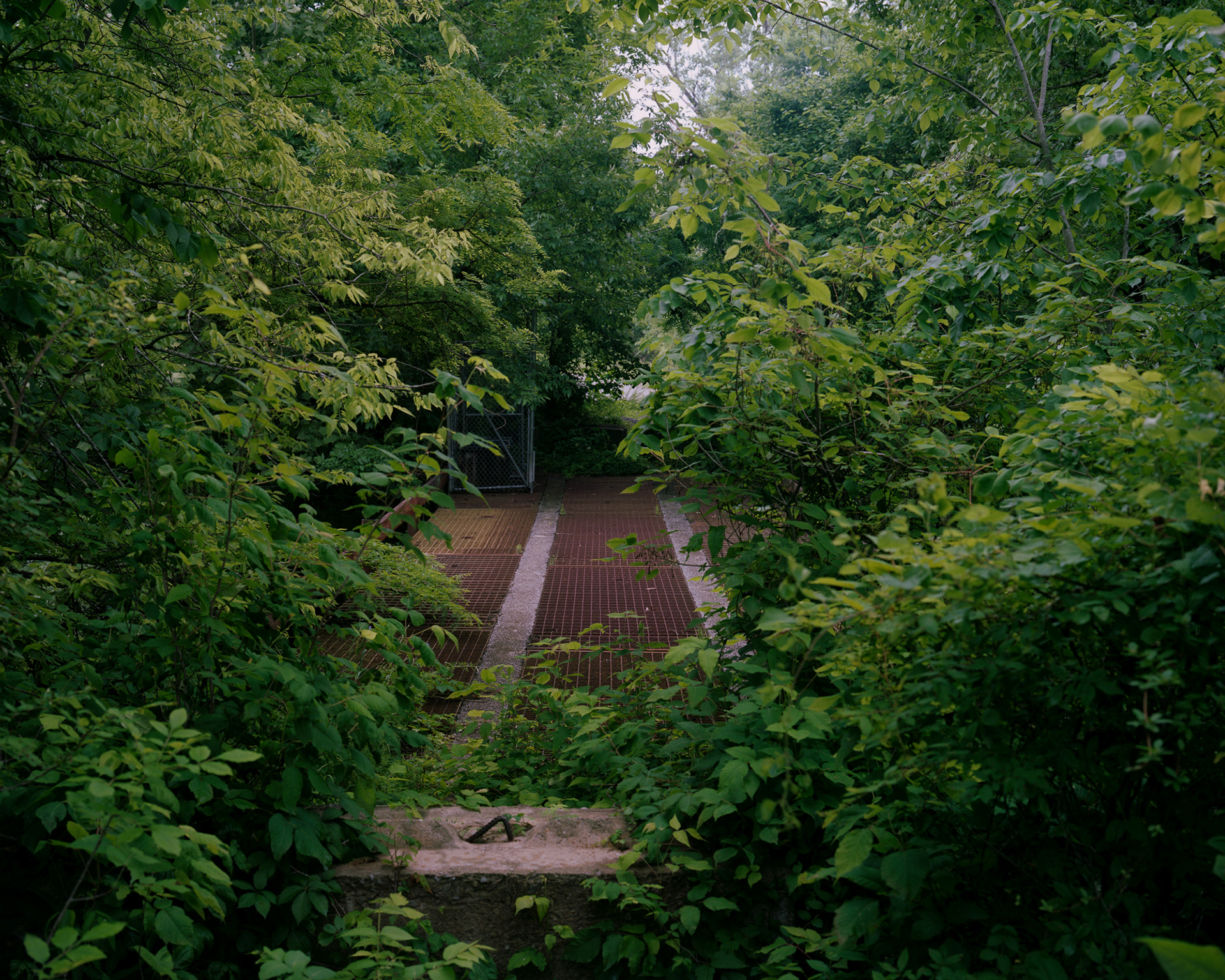 Bridge Over Contaminated Creek, WMA, Kentucky