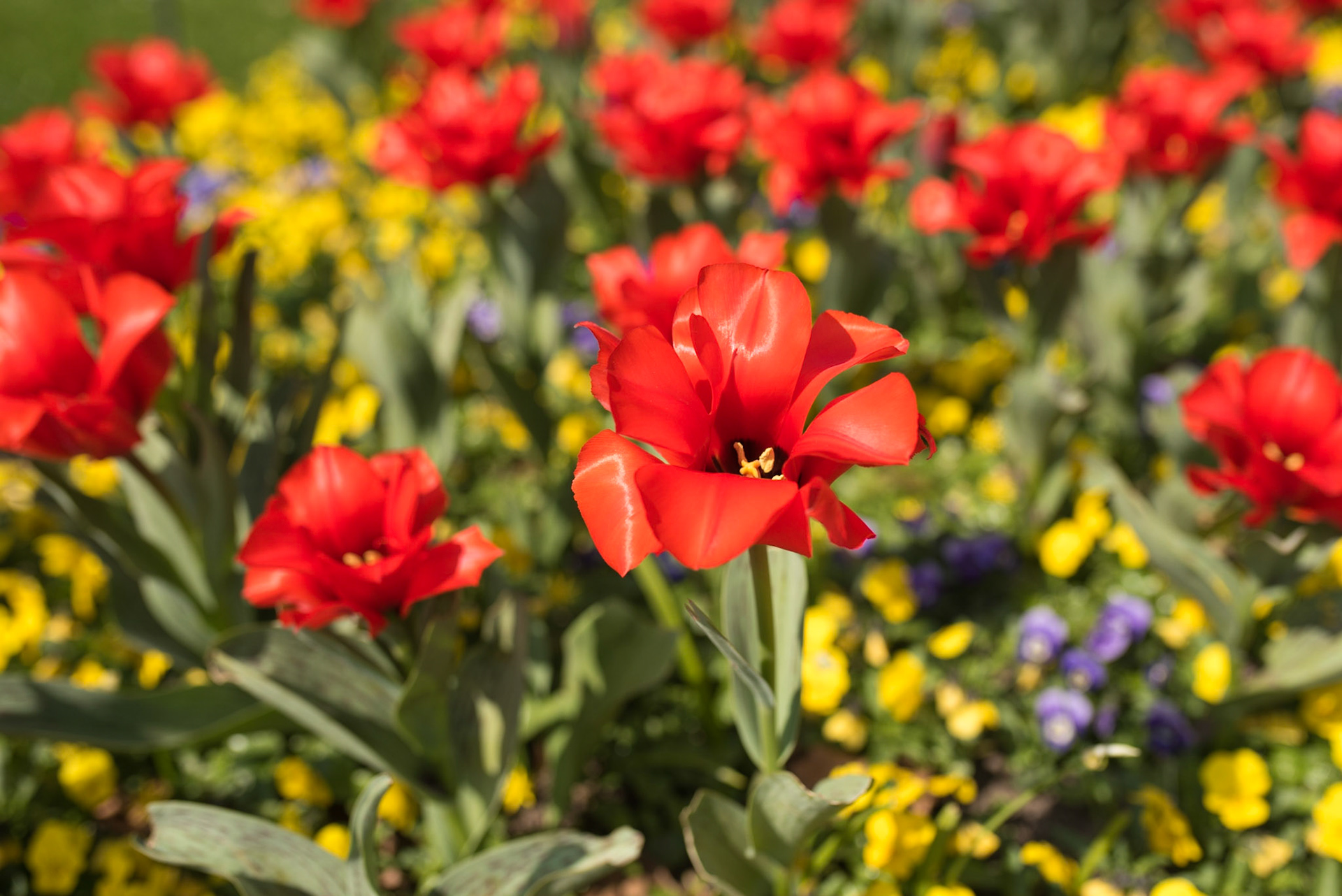 Sebastian Heussen Botanischer Garten Krefeld