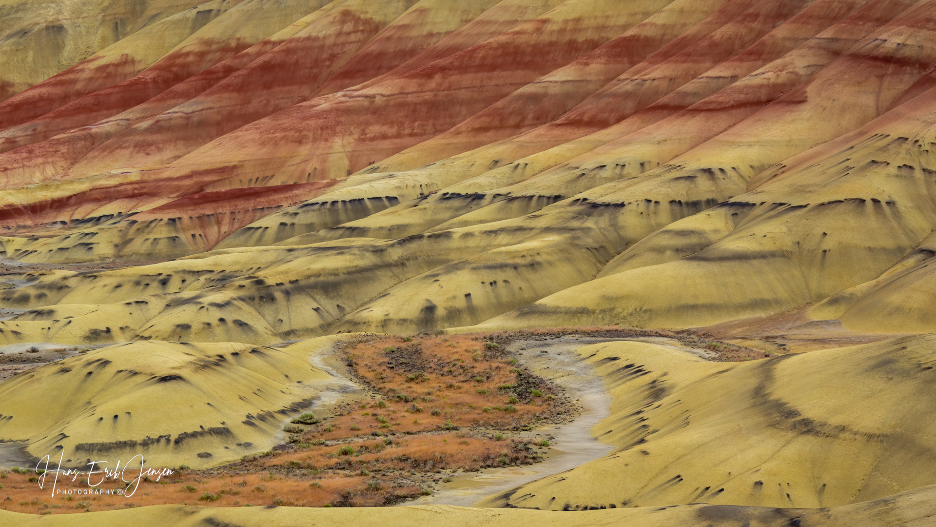 Painted Hill 11
