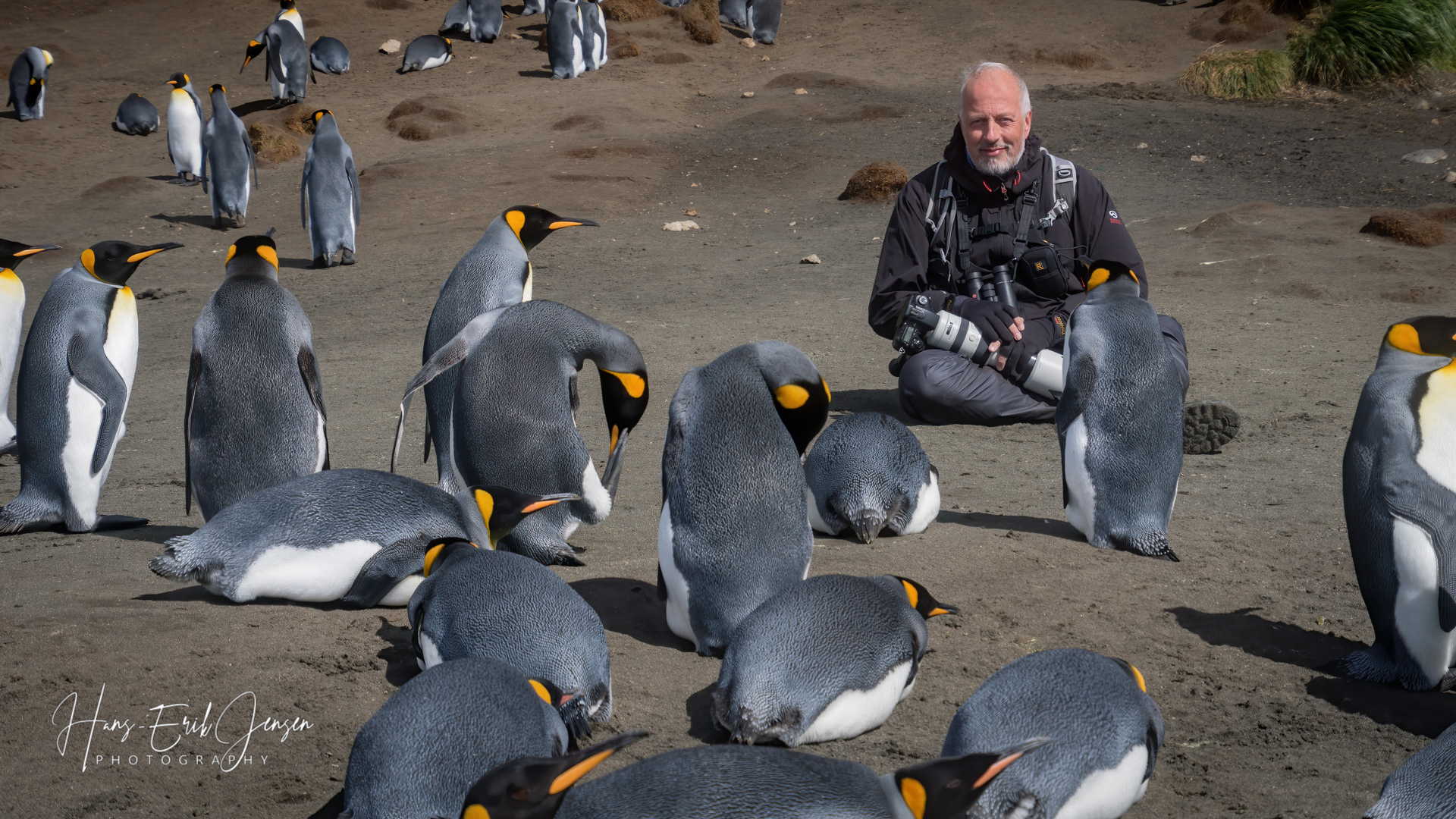 Macquarie Island, Southern Ocean, February 2017