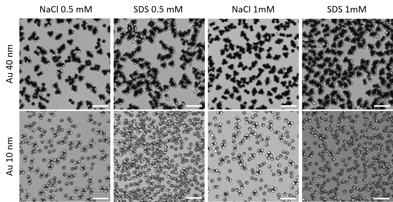 Cluster formation of Au-SiO2 Janus particles under different conditions.