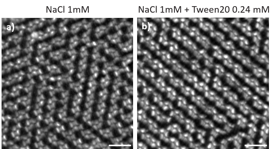 Crystal formation of Au-SiO2 Janus particles under different conditions.