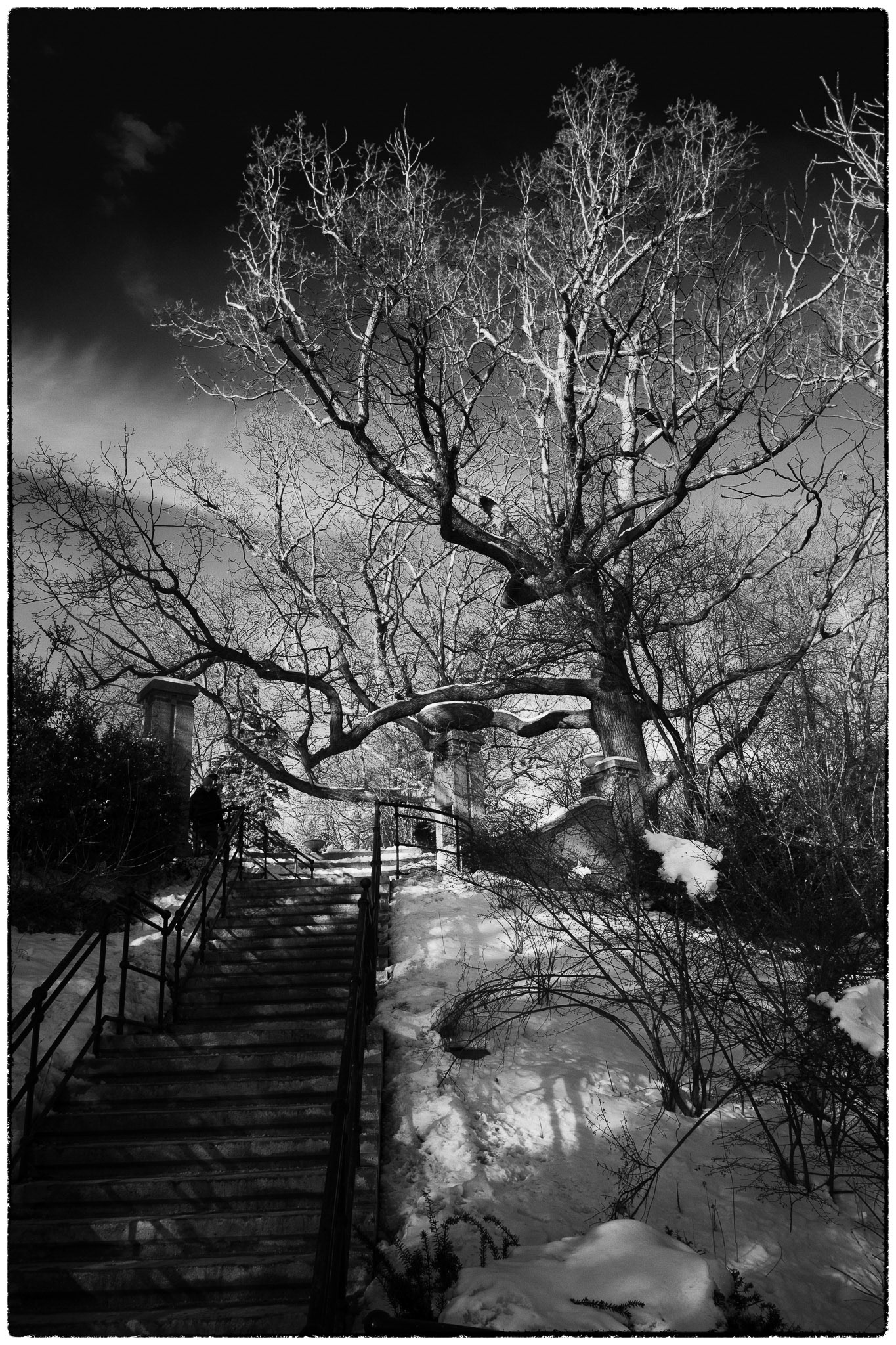 The iconic starcase just east of Casa Loma