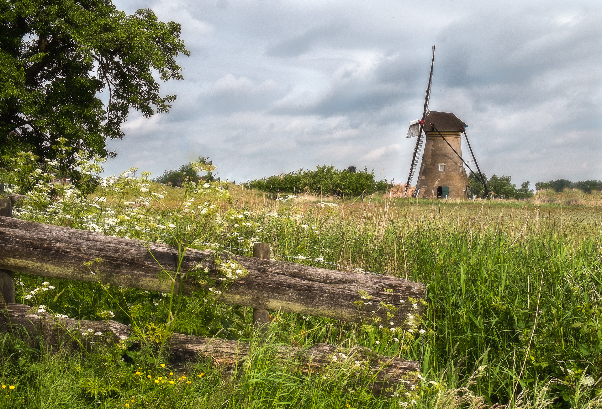 Windmill and Fence
