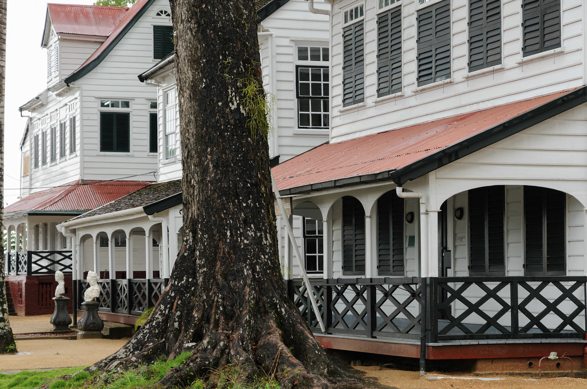 Near Fort Zeelandia, Paramaribo
