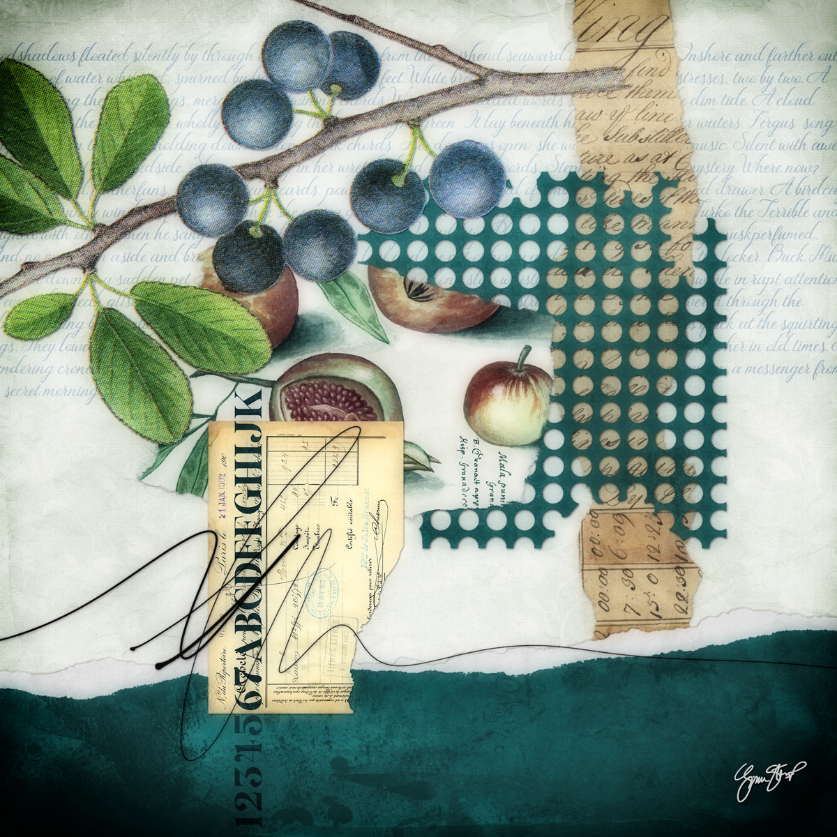 Blueberry Collage by Gina Startup