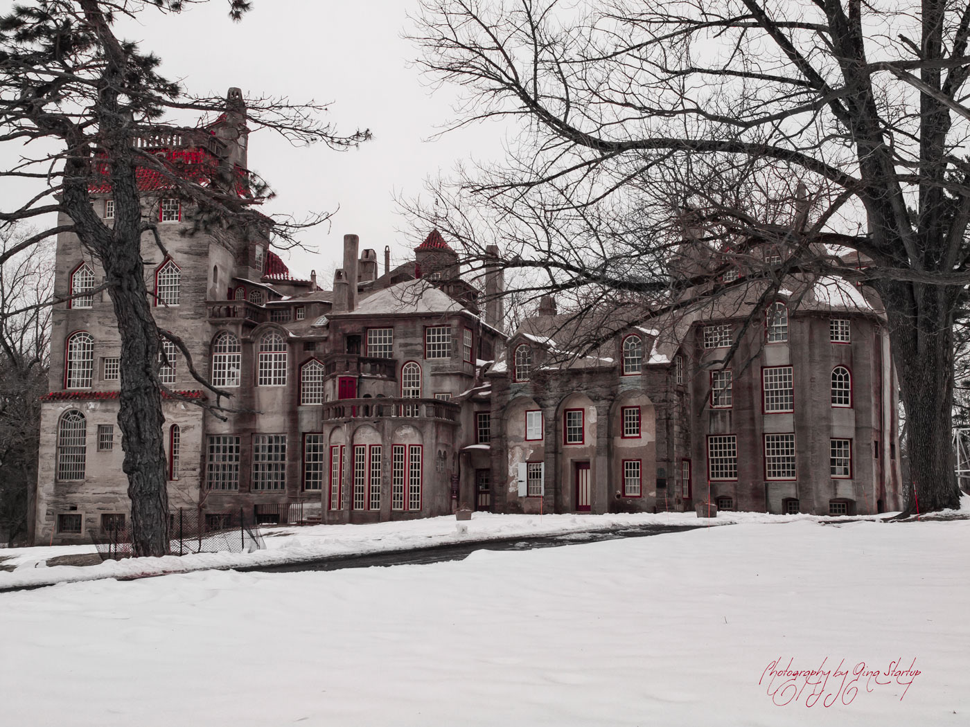 Photography by Gina Startup