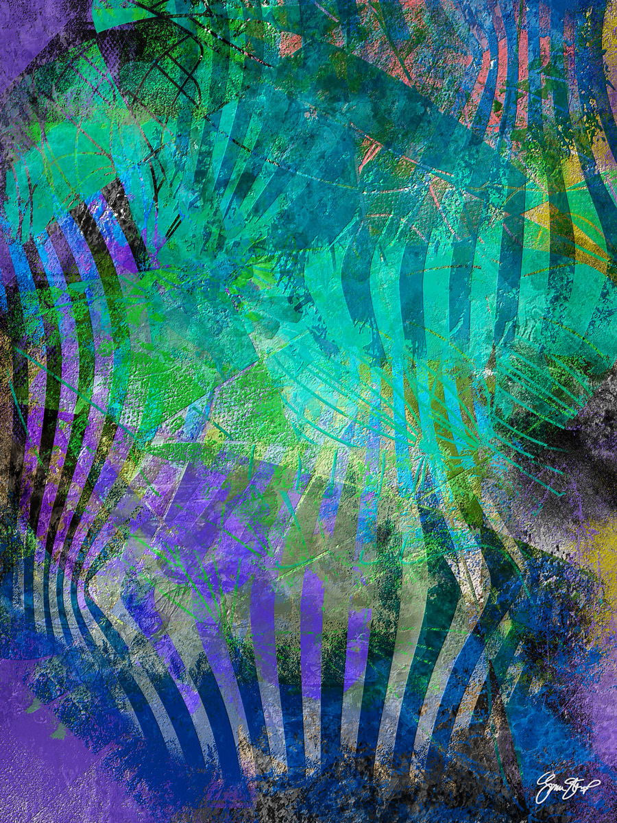 Function of Wavelength by Gina Startup