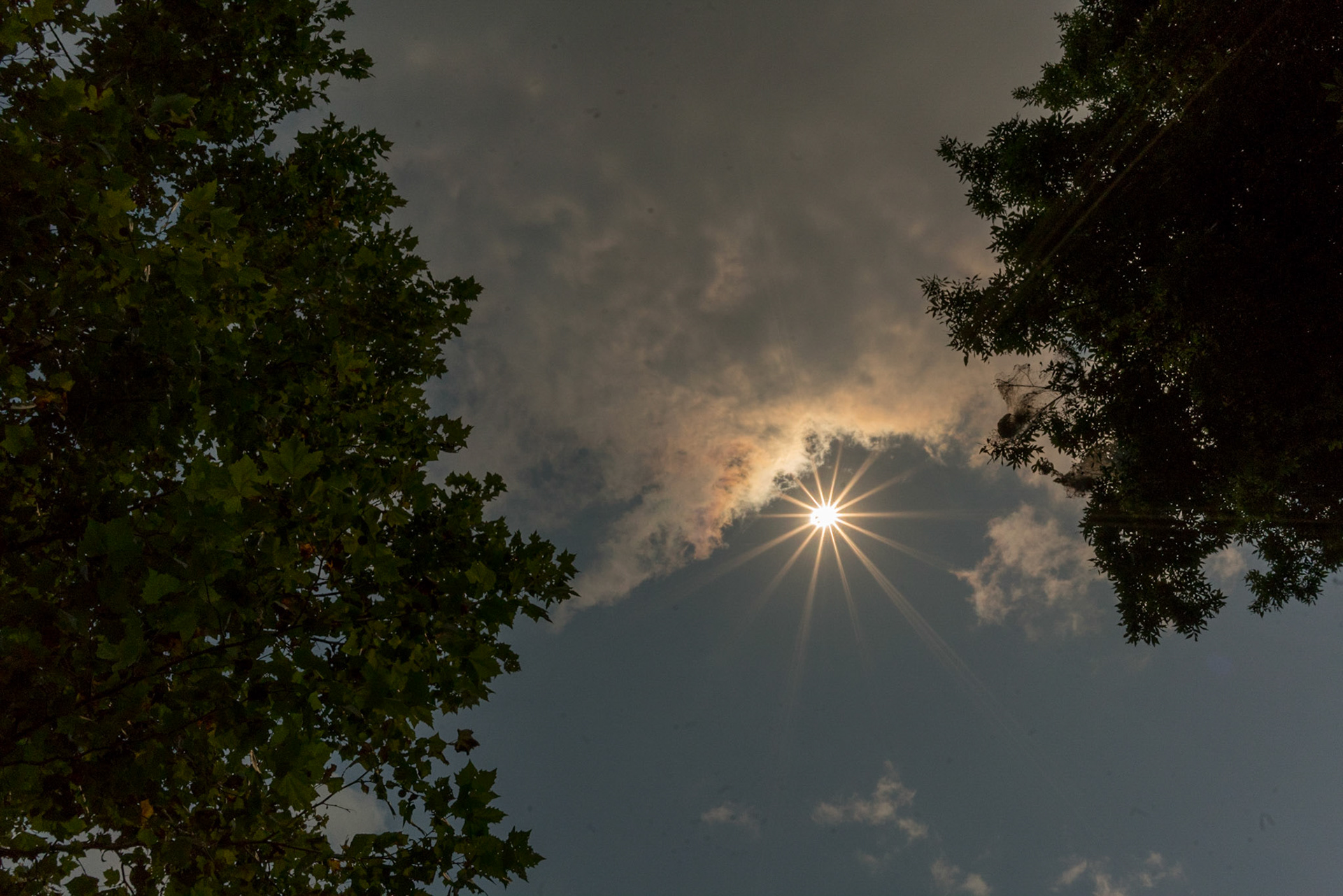 2017 Solar Eclipse Scene